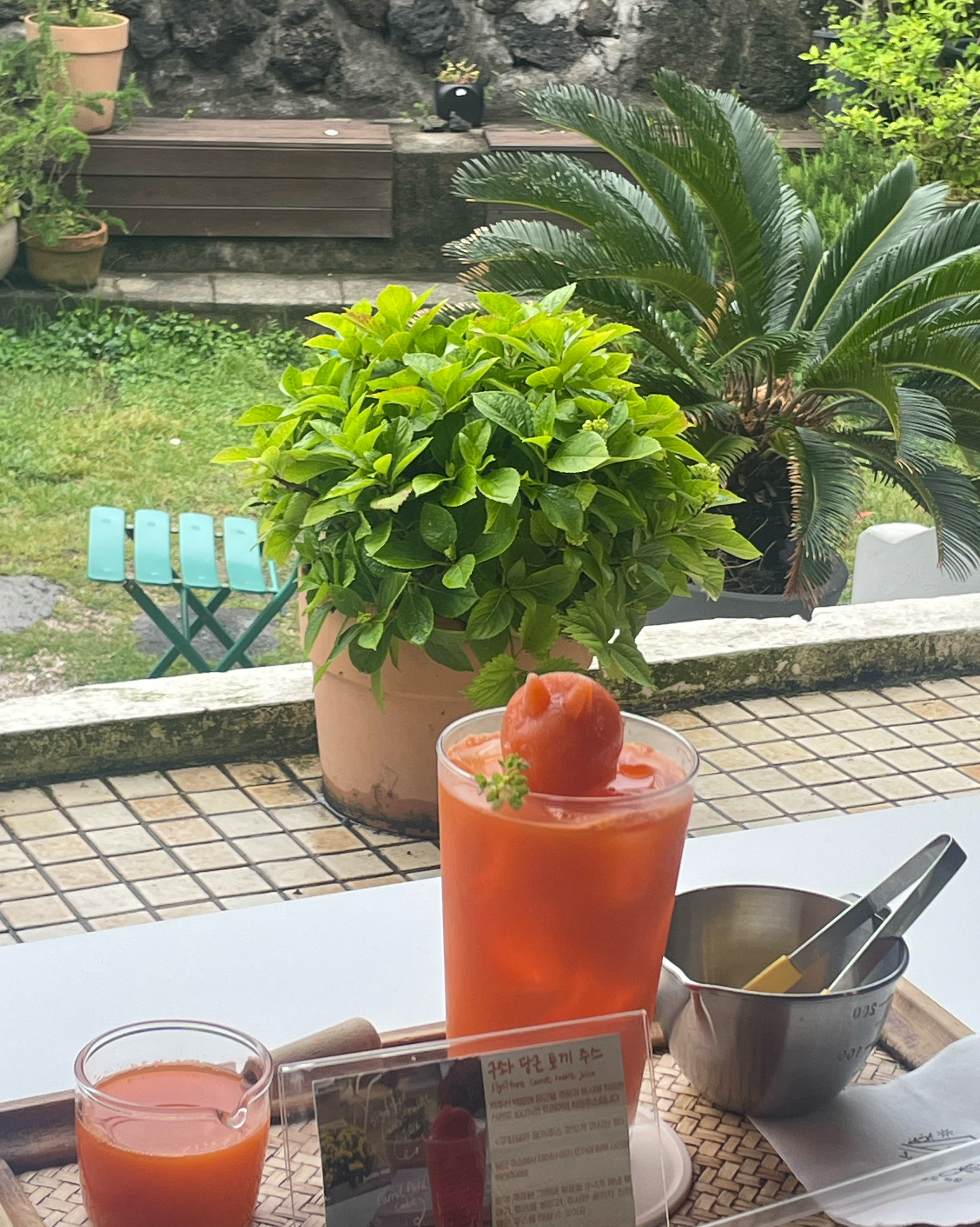 카페에서 나오는 노래 가만히 들으면서 혼자 앉아있기 너무 좋은 곳이였어요 - 제주 맛집 오늘도화창