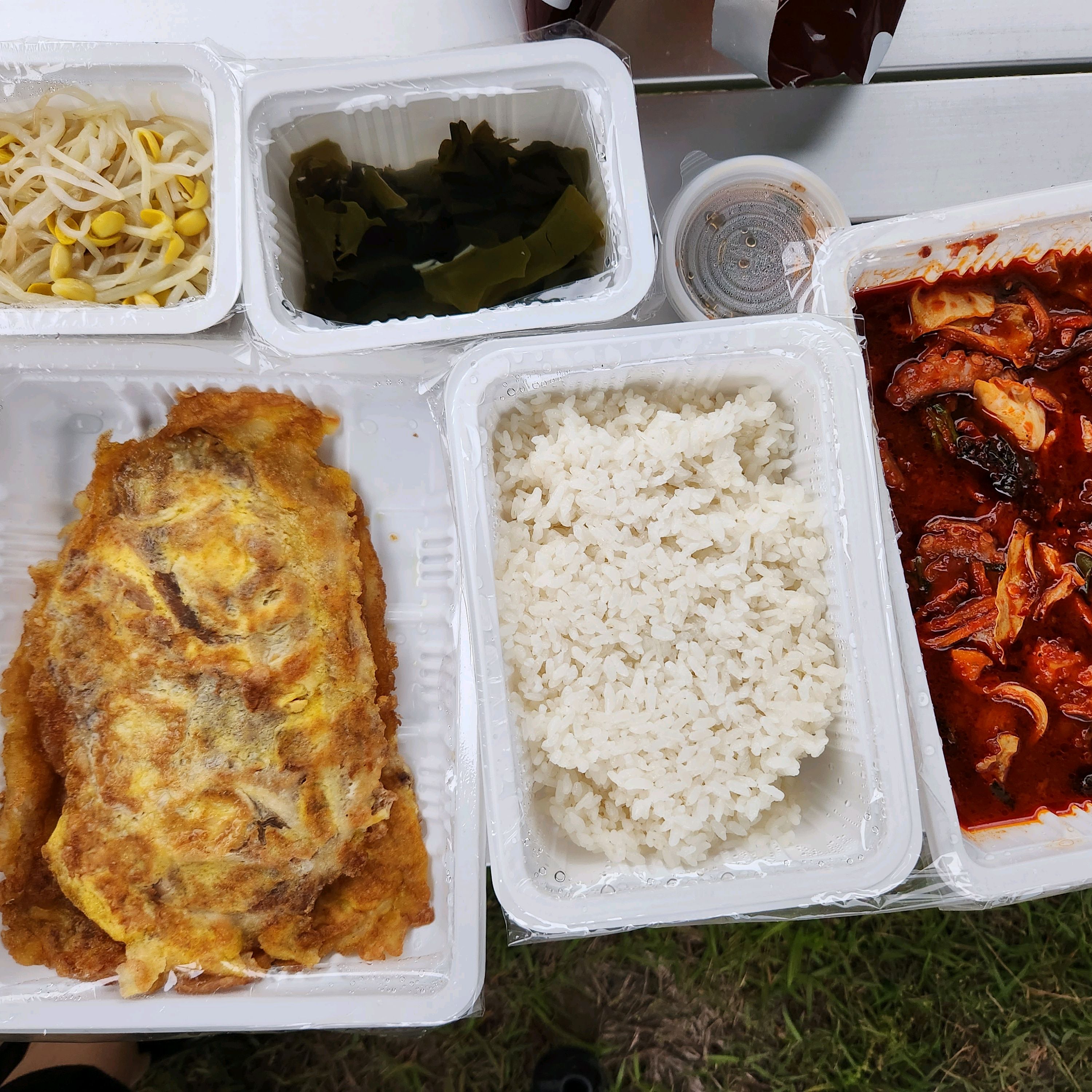포장해서 야외에서 먹으니 더 꿀맛이예요 - 대전 맛집 착한낙지 홍도점