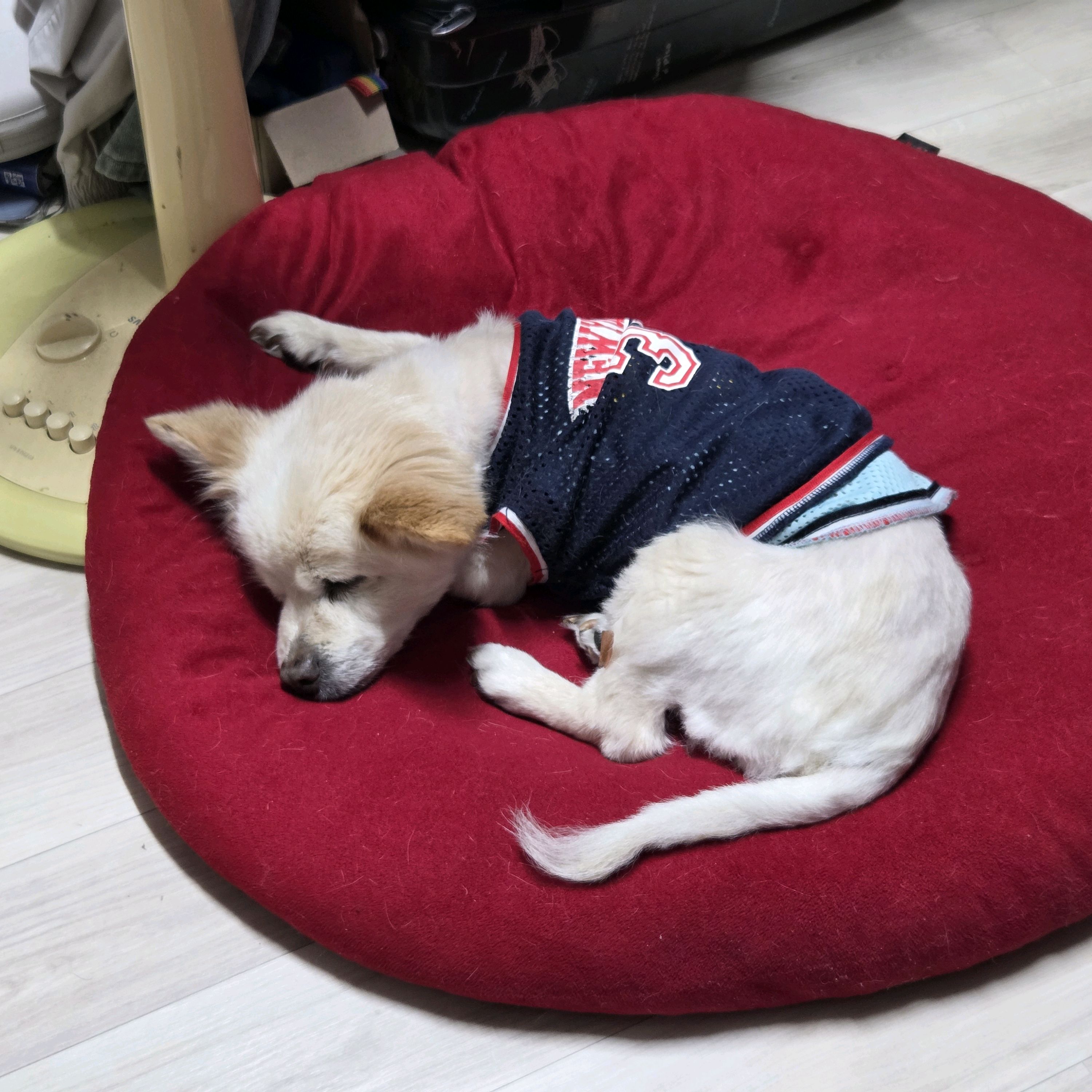리뷰 사진 1