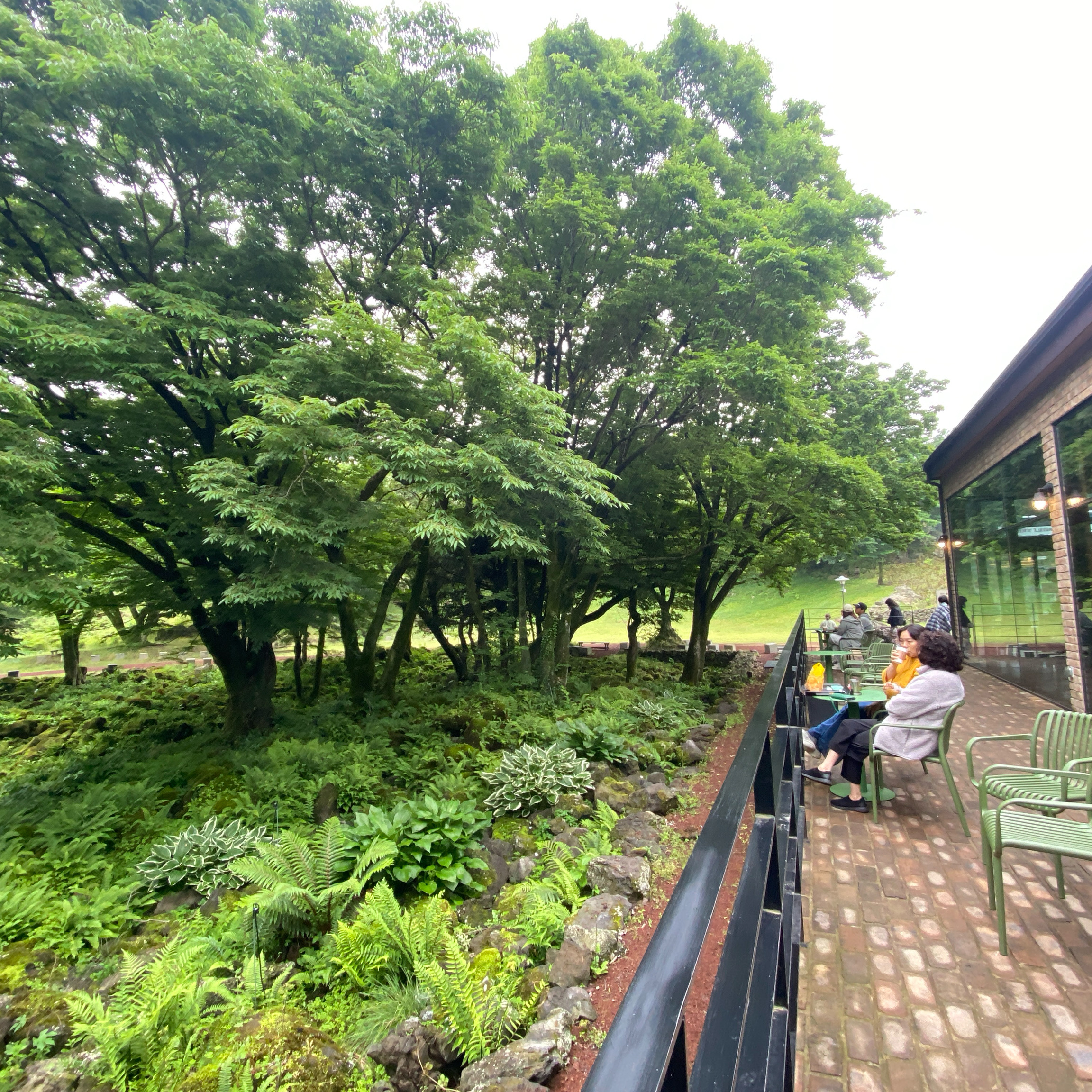 푸릇푸릇 숲뷰를 보며 커피한잔 마시고 힐링하기 좋아요~ - 제주 맛집 이끼숲소길