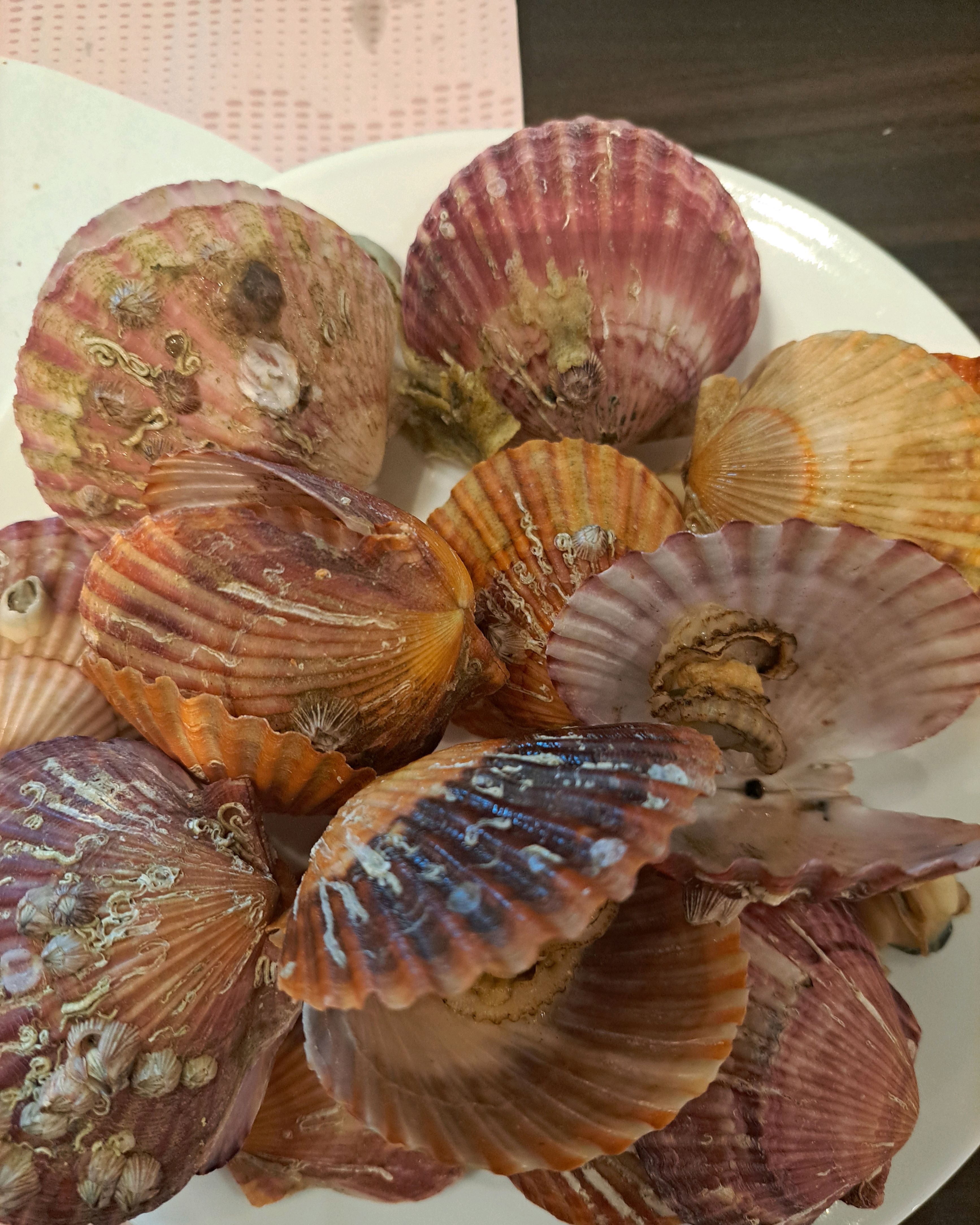 예약없이 아이들과 왔습니다. 제가 생각하는 최고의 메뉴는 가리비 등 해산물이었습니다. 신선