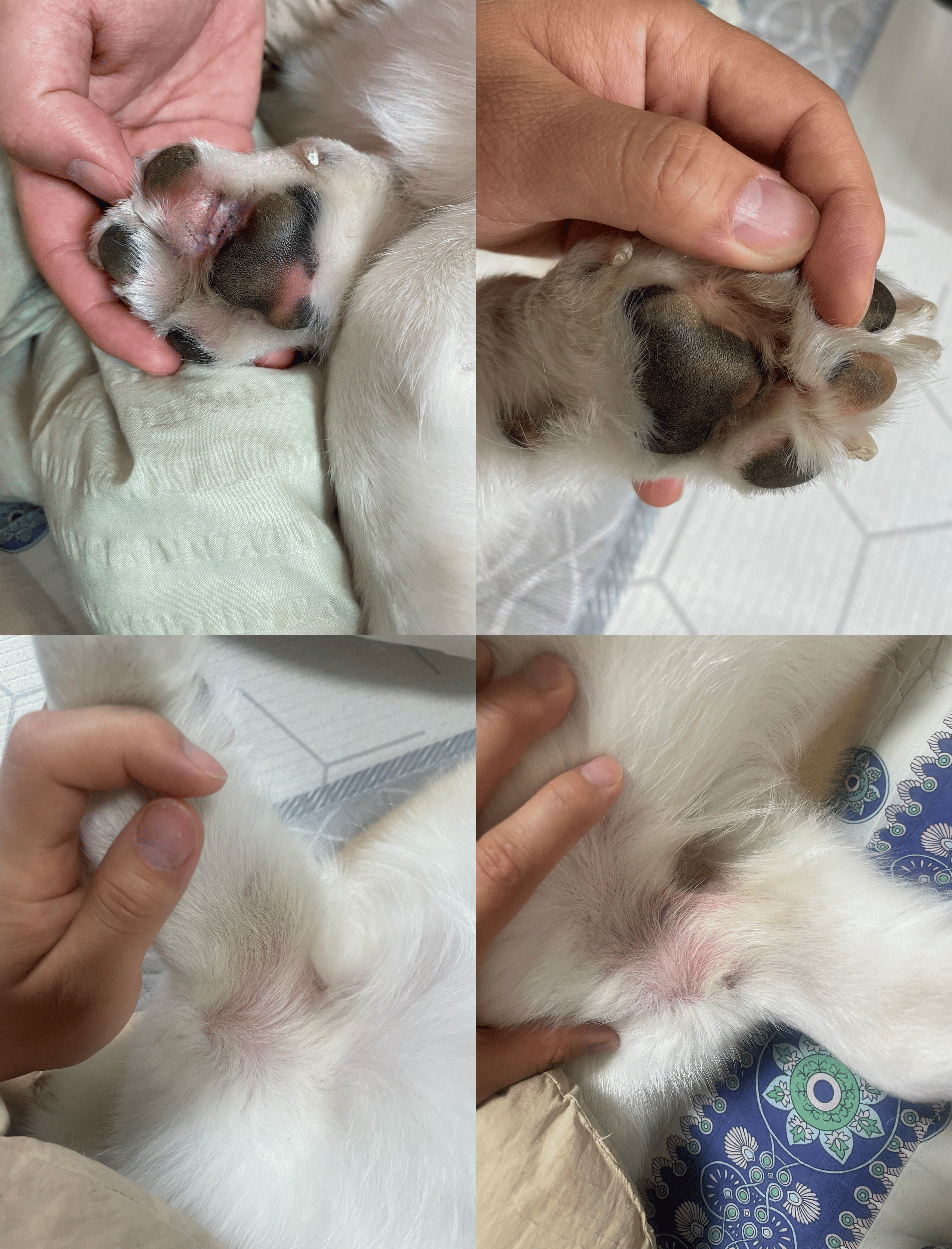 리뷰 사진 2