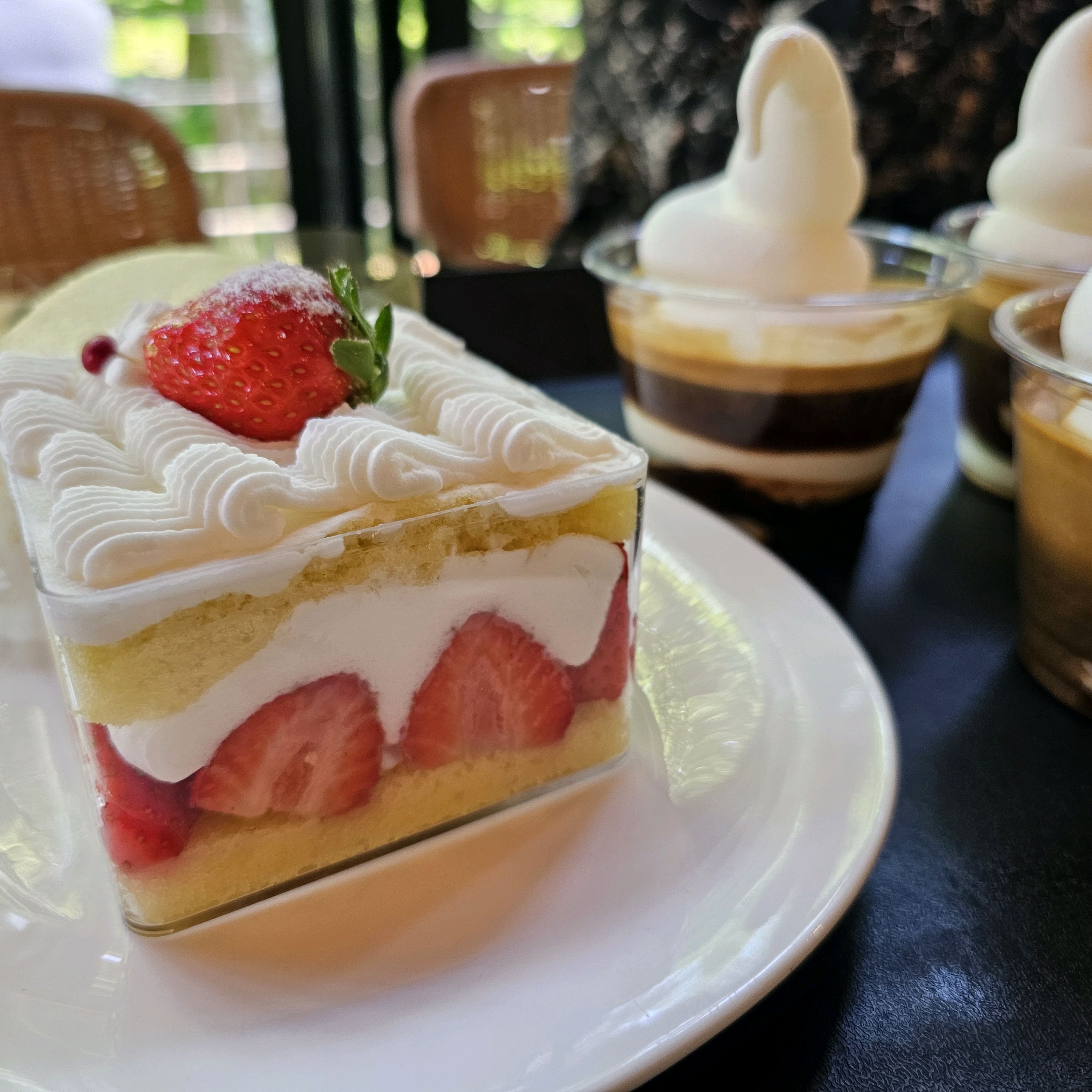 지브리감성카페🌳🌴🌿 정원도 진짜 예쁘고 - 제주 맛집 이끼숲소길