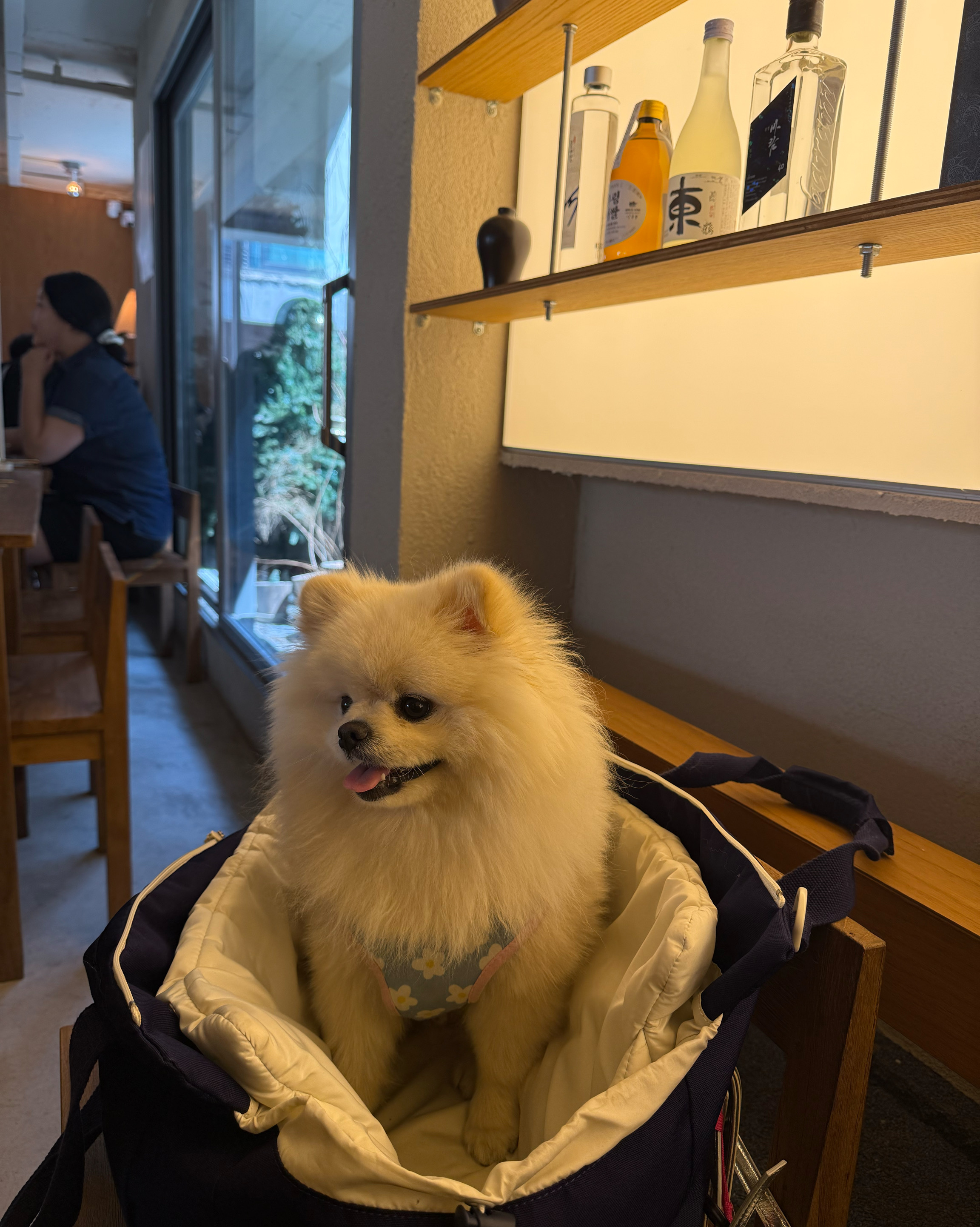 성수 이미지