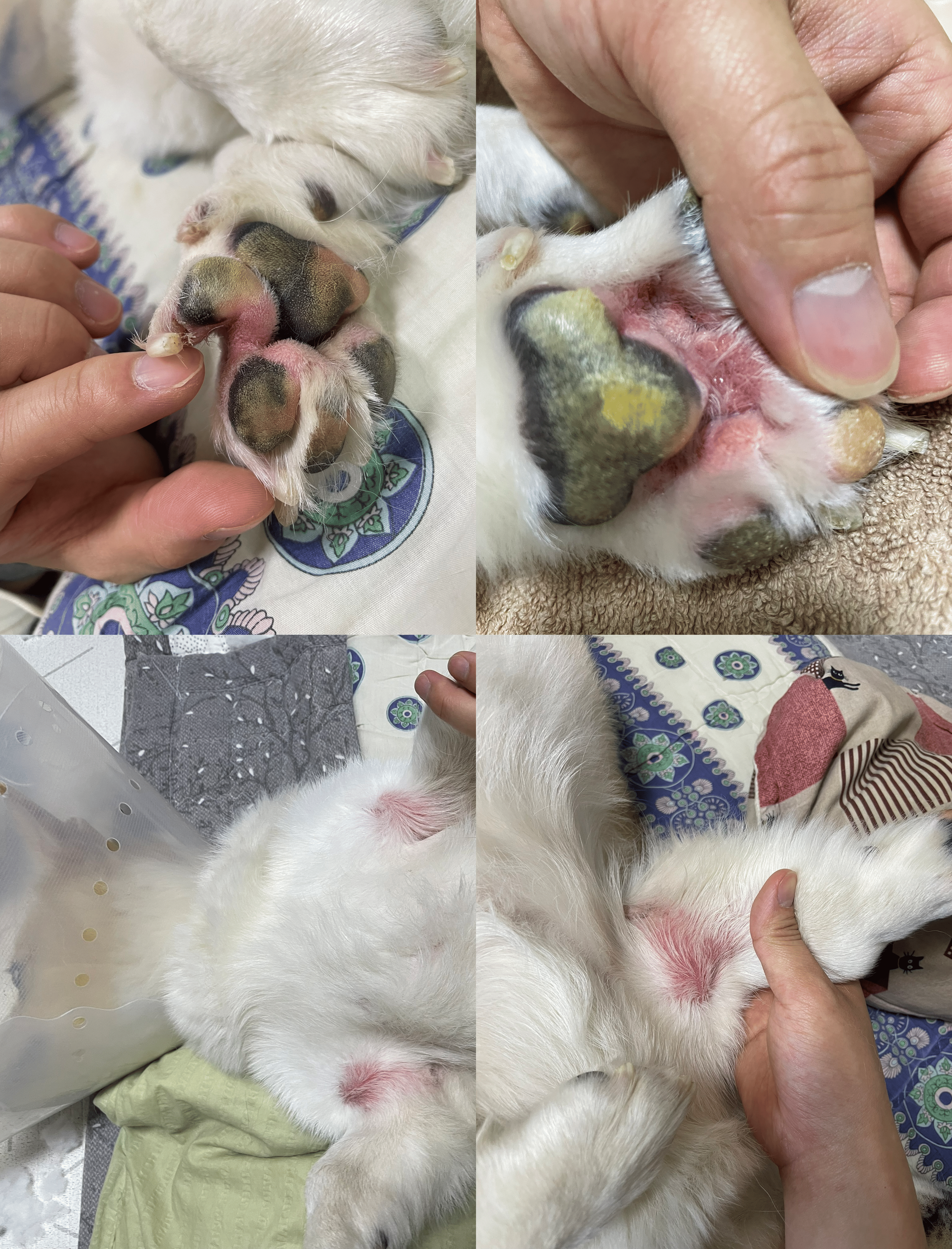 리뷰 사진 1