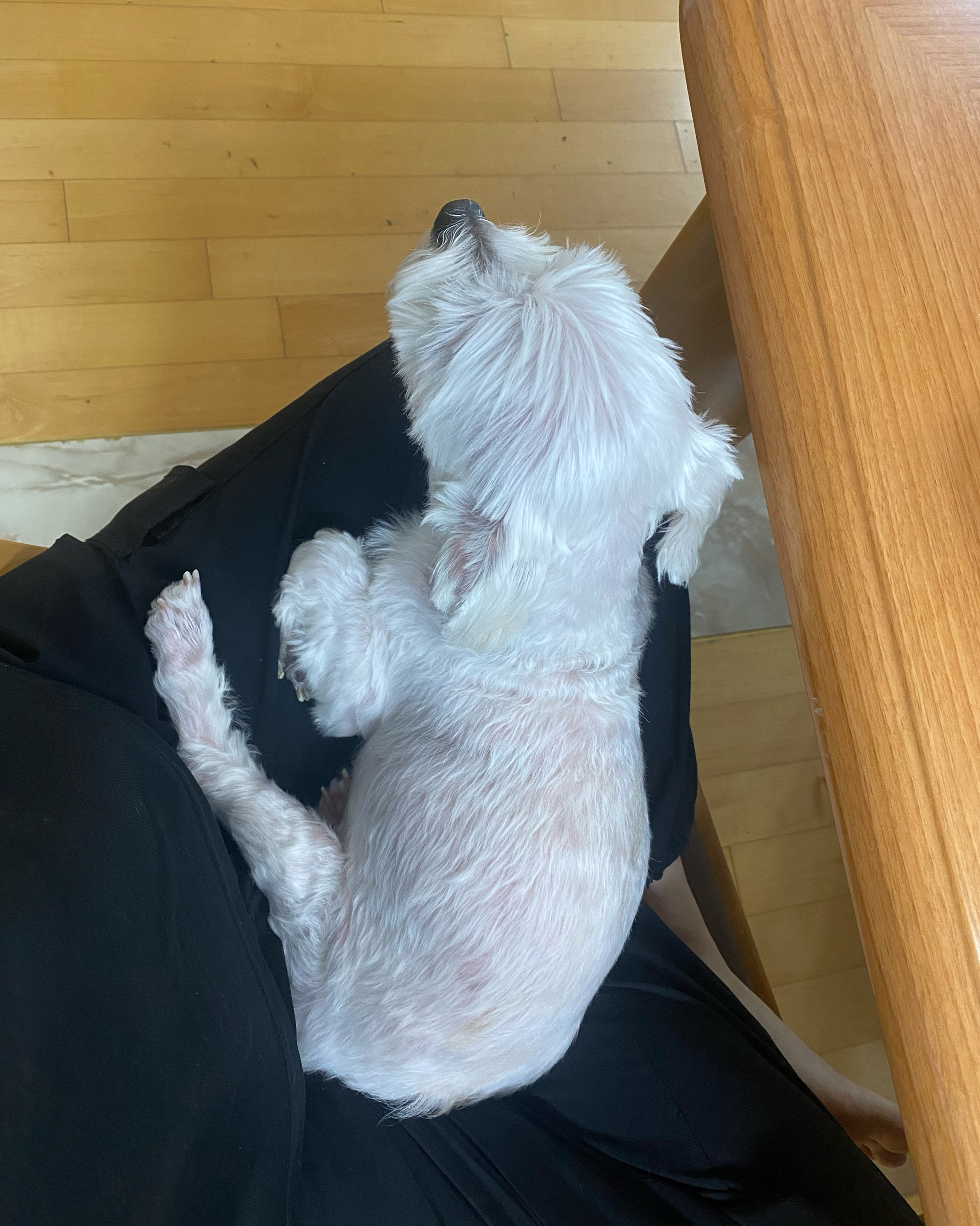 리뷰 사진 3