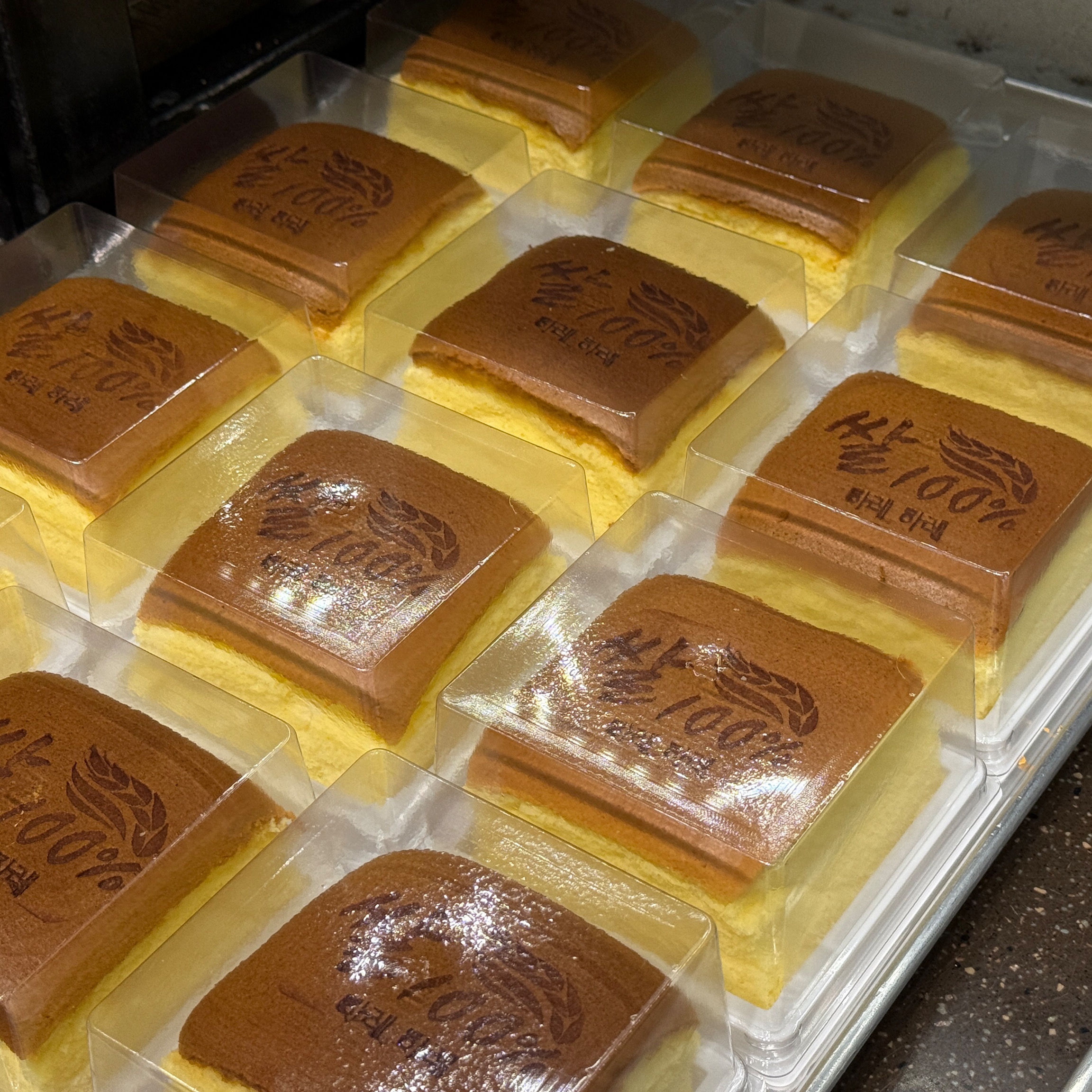 푸딩 임산부 할인 되어 맛있게 먹었습니다 - 대전 맛집 하레하레 둔산점