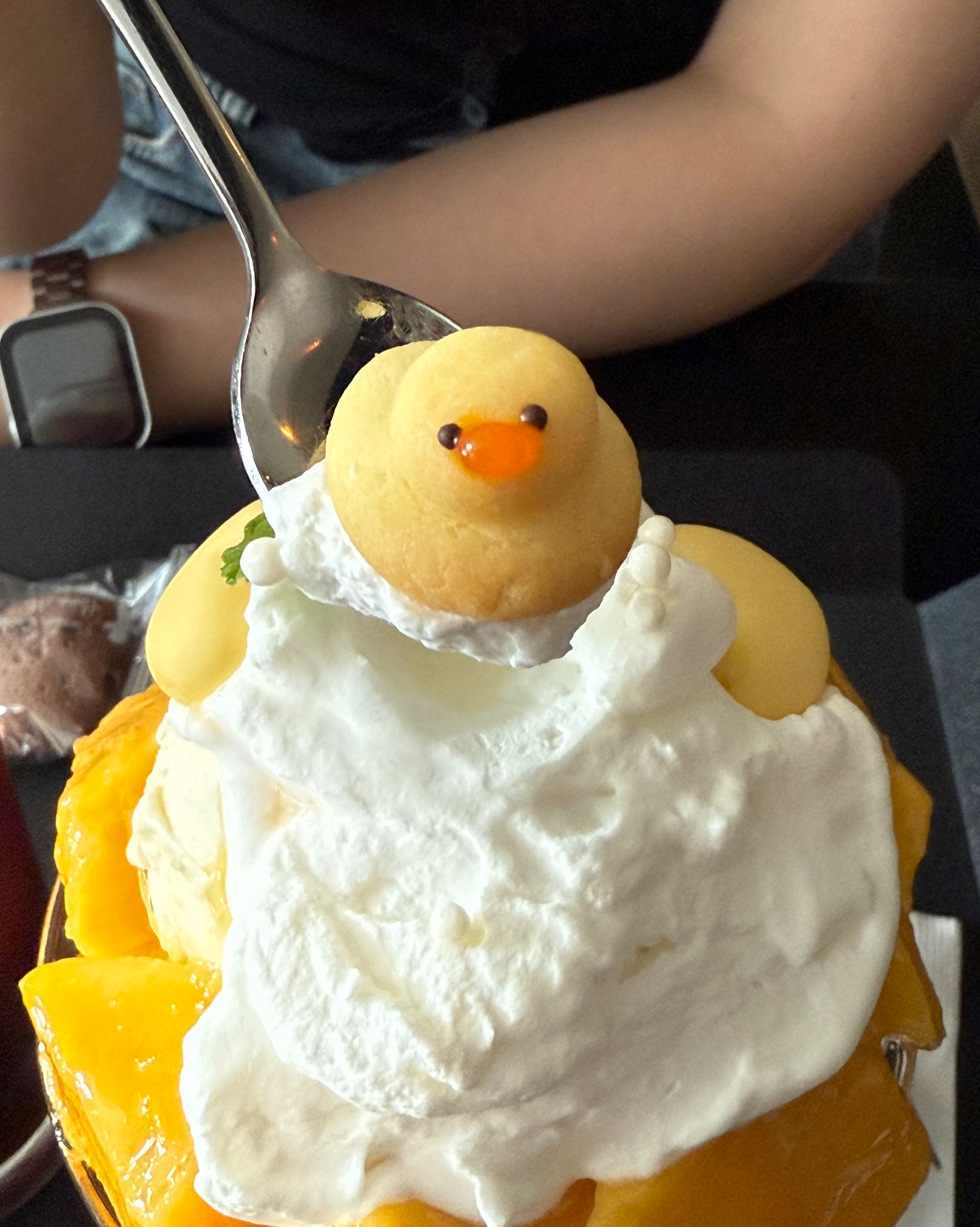 왜 저 떠보세요? 라는 표정으로 바라보는 오리… - 대전 맛집 워크룸커피