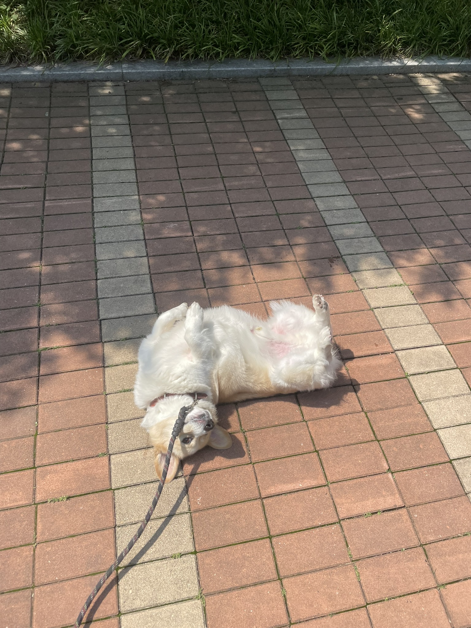 리뷰 사진 3