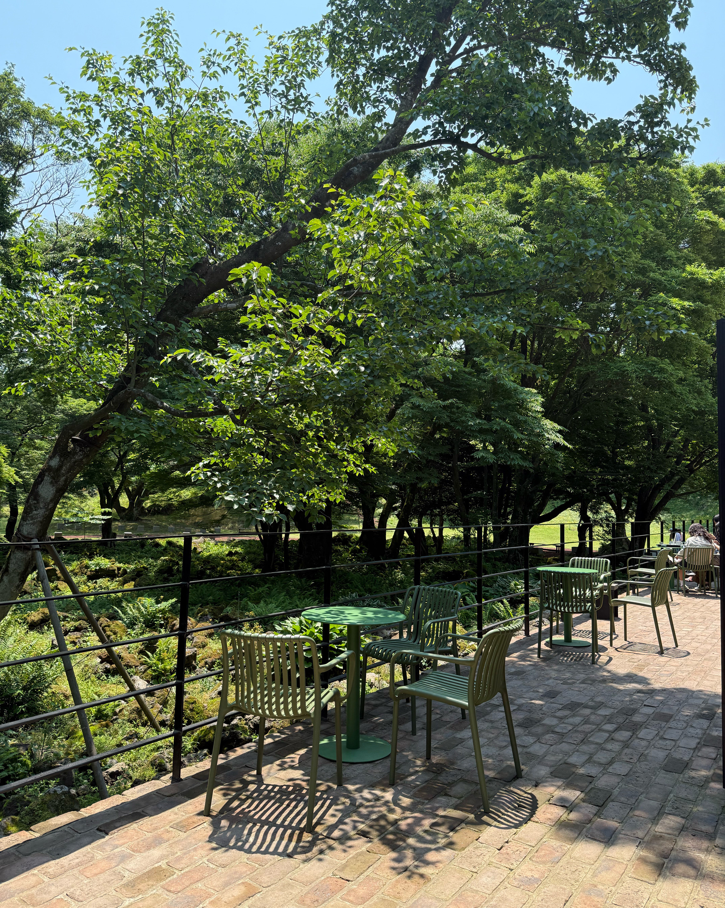 지금처럼 녹음이 짙을때 와야하는거같아요 - 제주 맛집 이끼숲소길