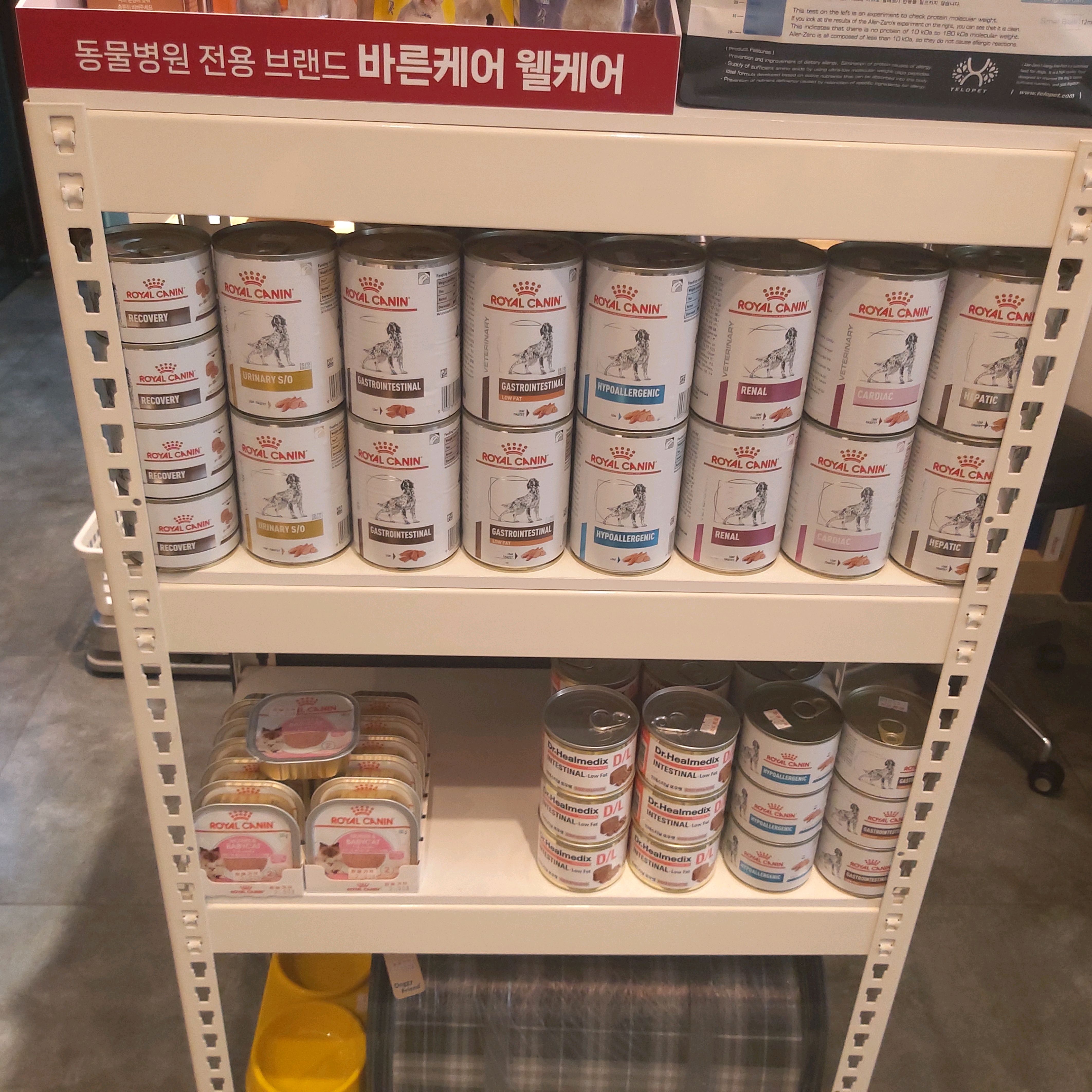 허브동물병원 사진 5