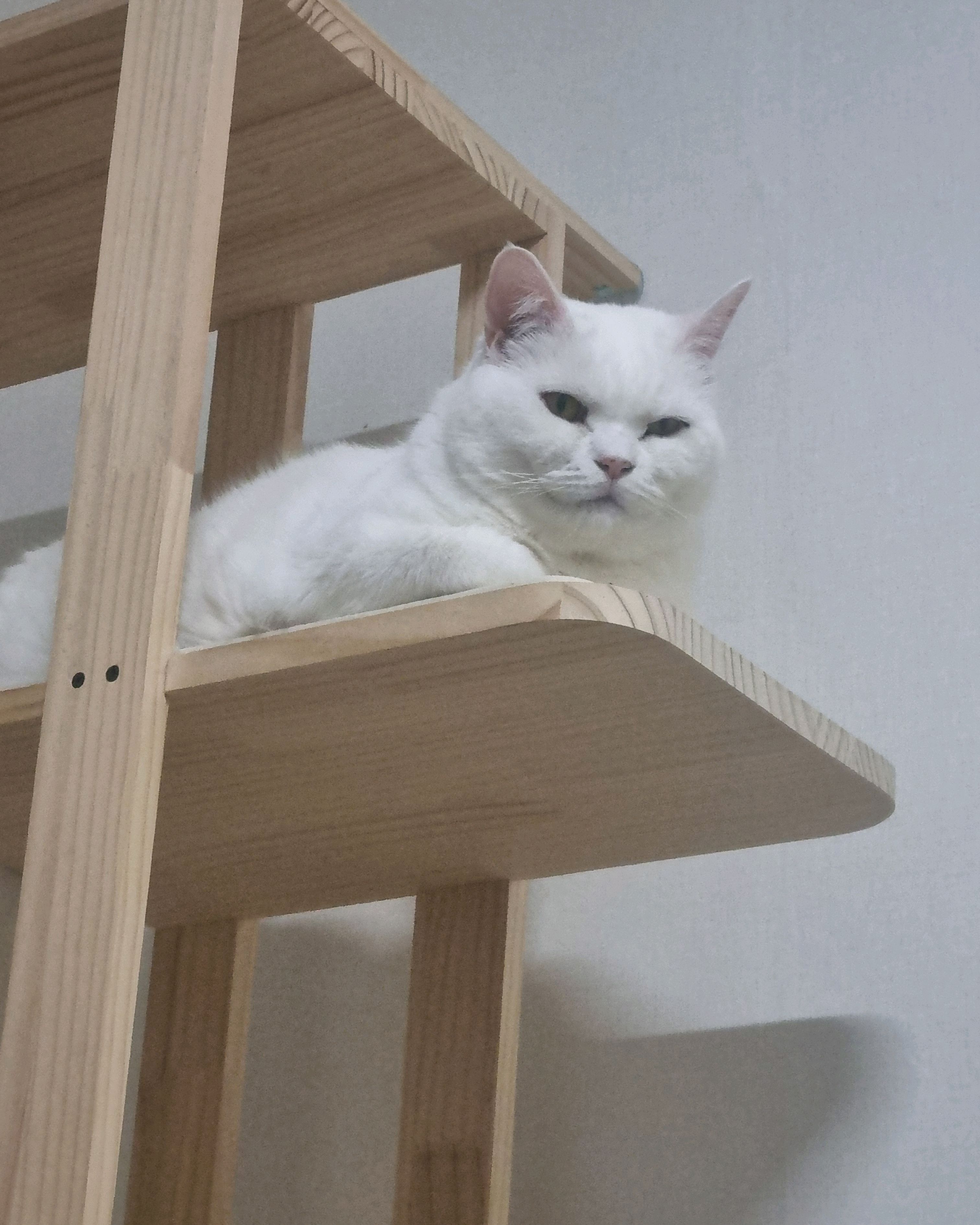 리뷰 사진 1