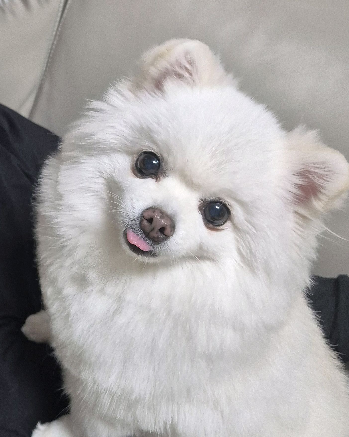 리뷰 사진 1