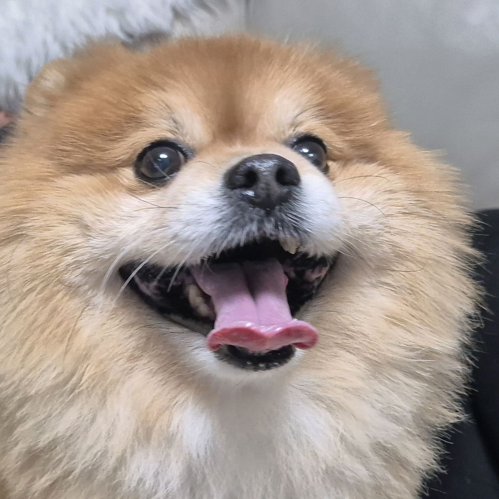 리뷰 사진 2