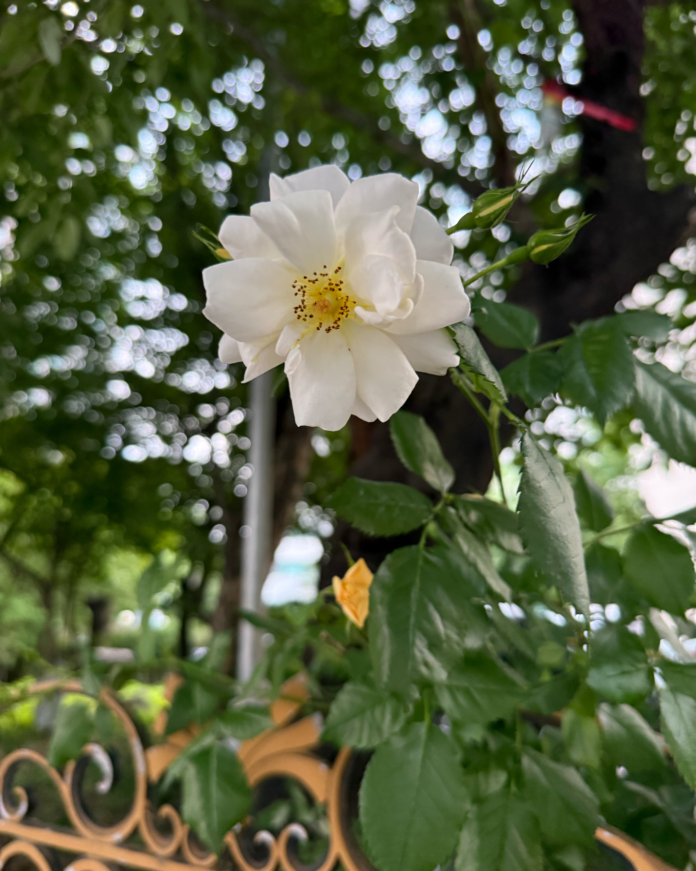 리뷰 사진 1