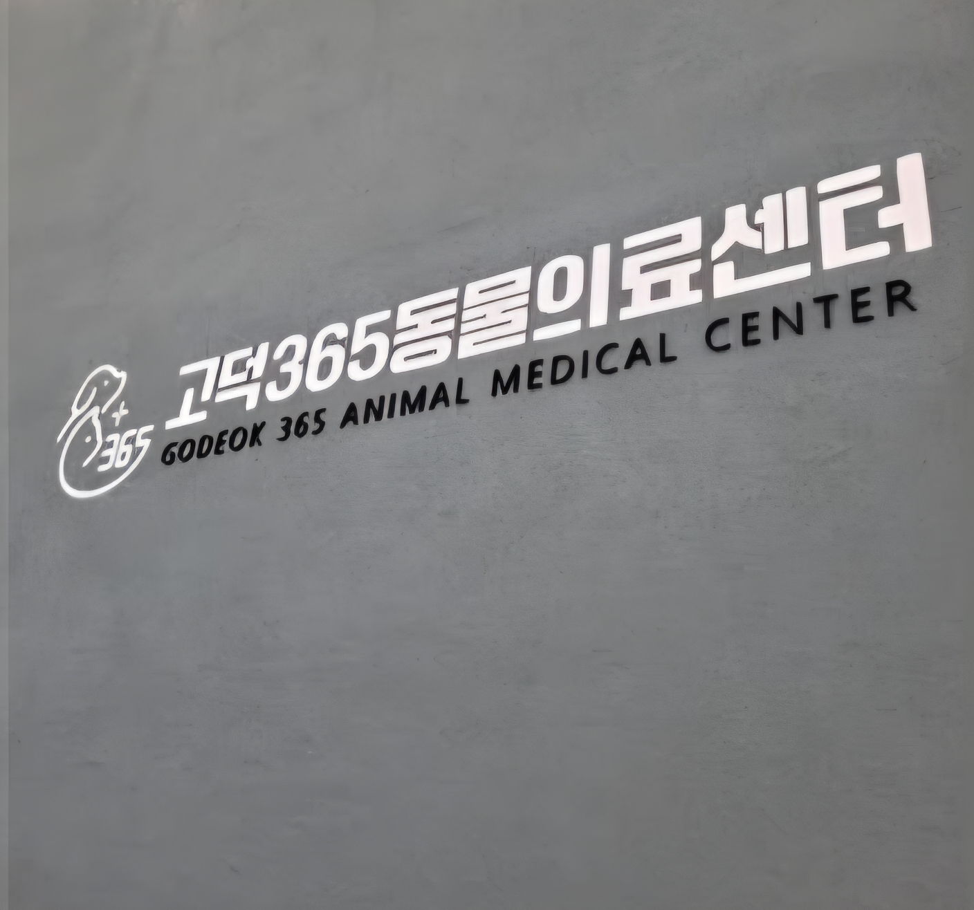 고덕 365 동물의료센터 사진 2