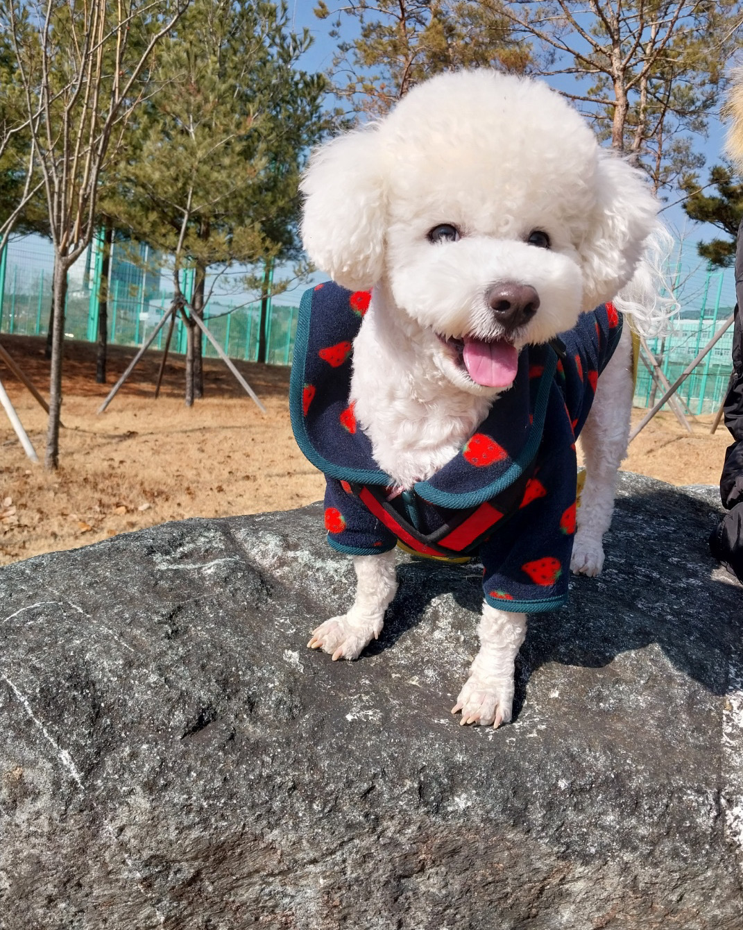 리뷰 사진 2