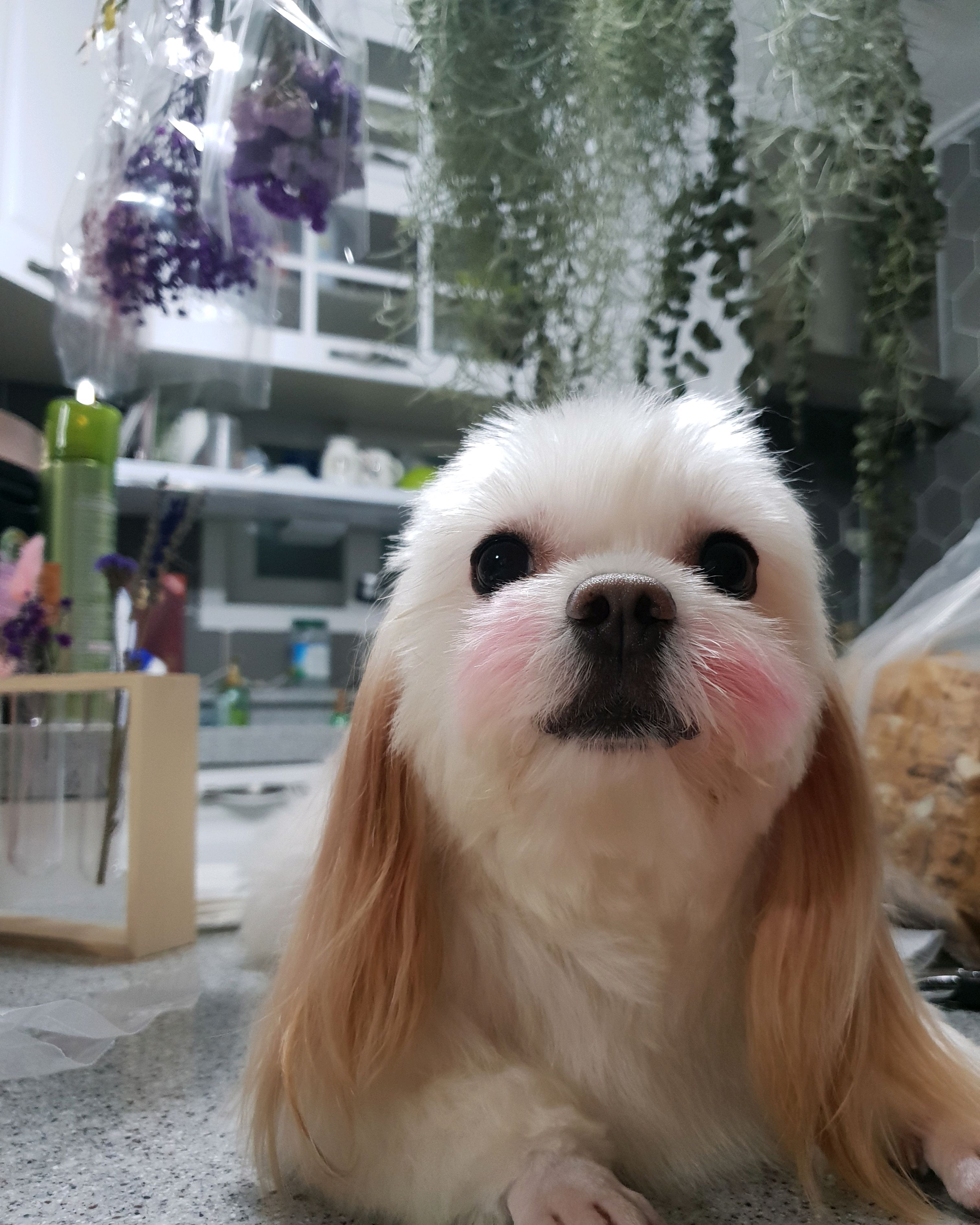 리뷰 사진 1