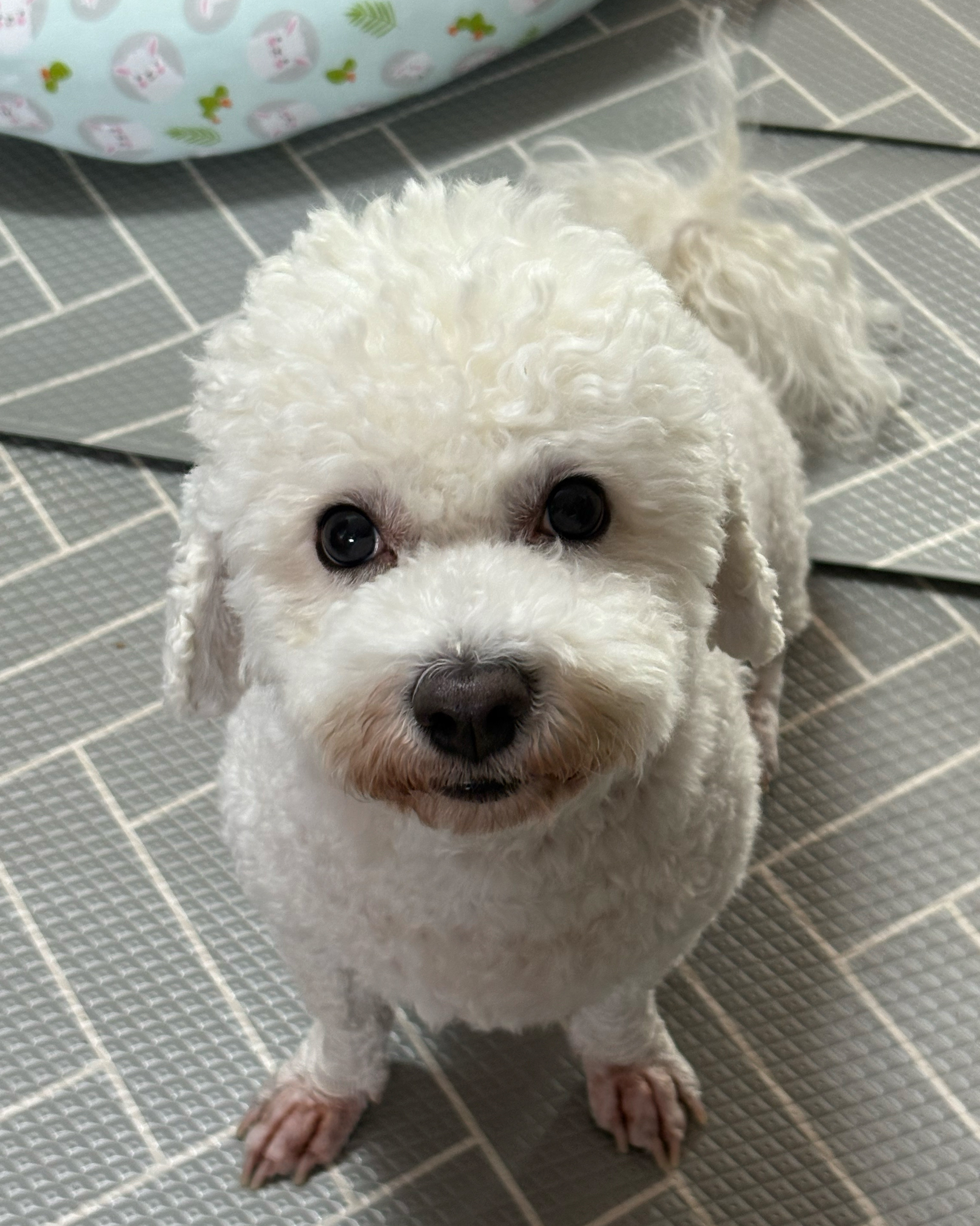 리뷰 사진 1
