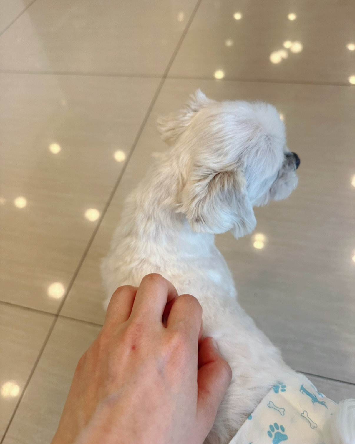 리뷰 사진 1