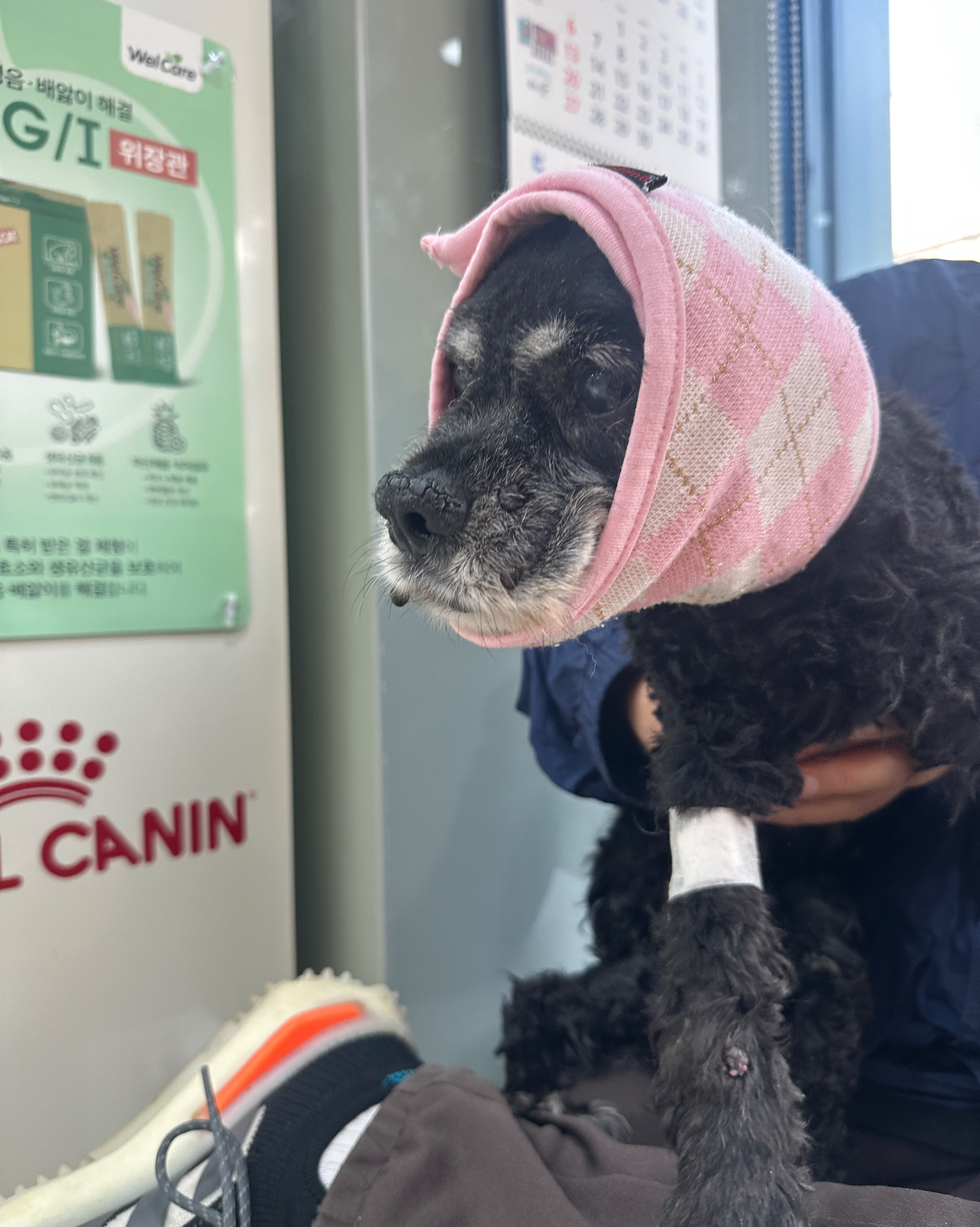 길종합동물병원 사진 2