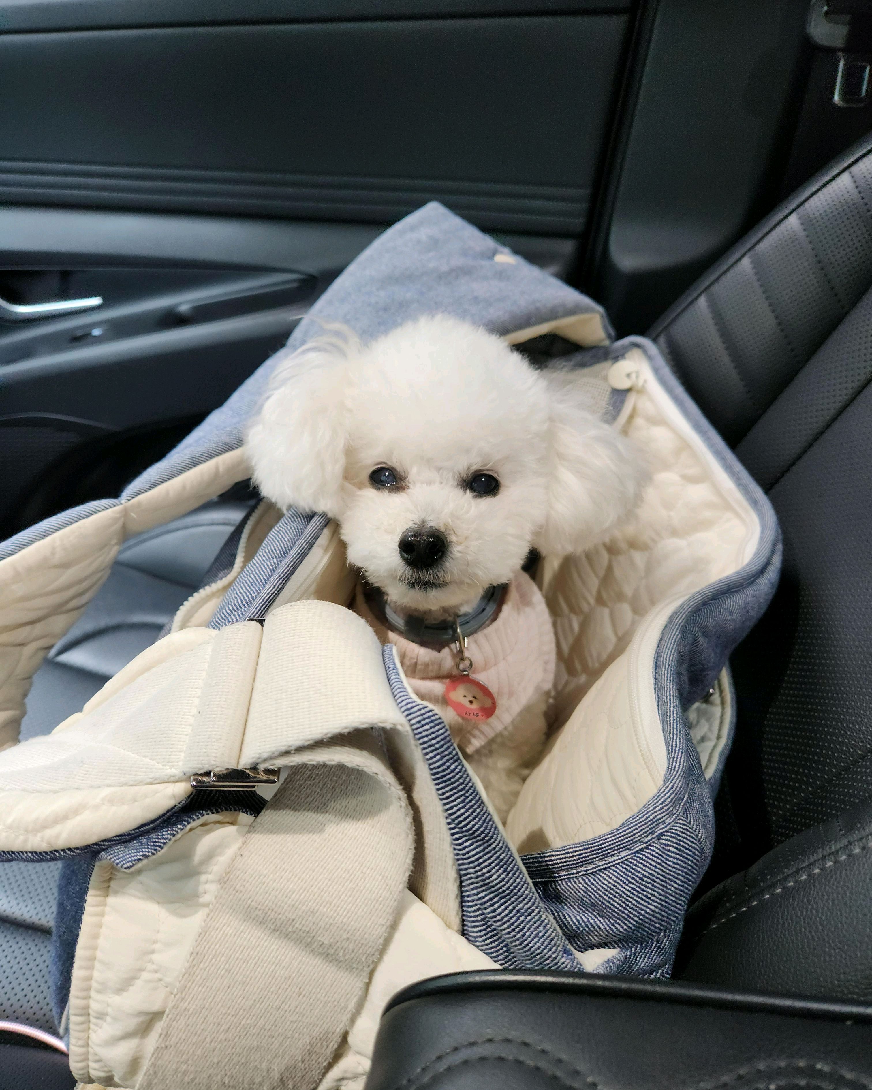 다온동물병원 사진 2