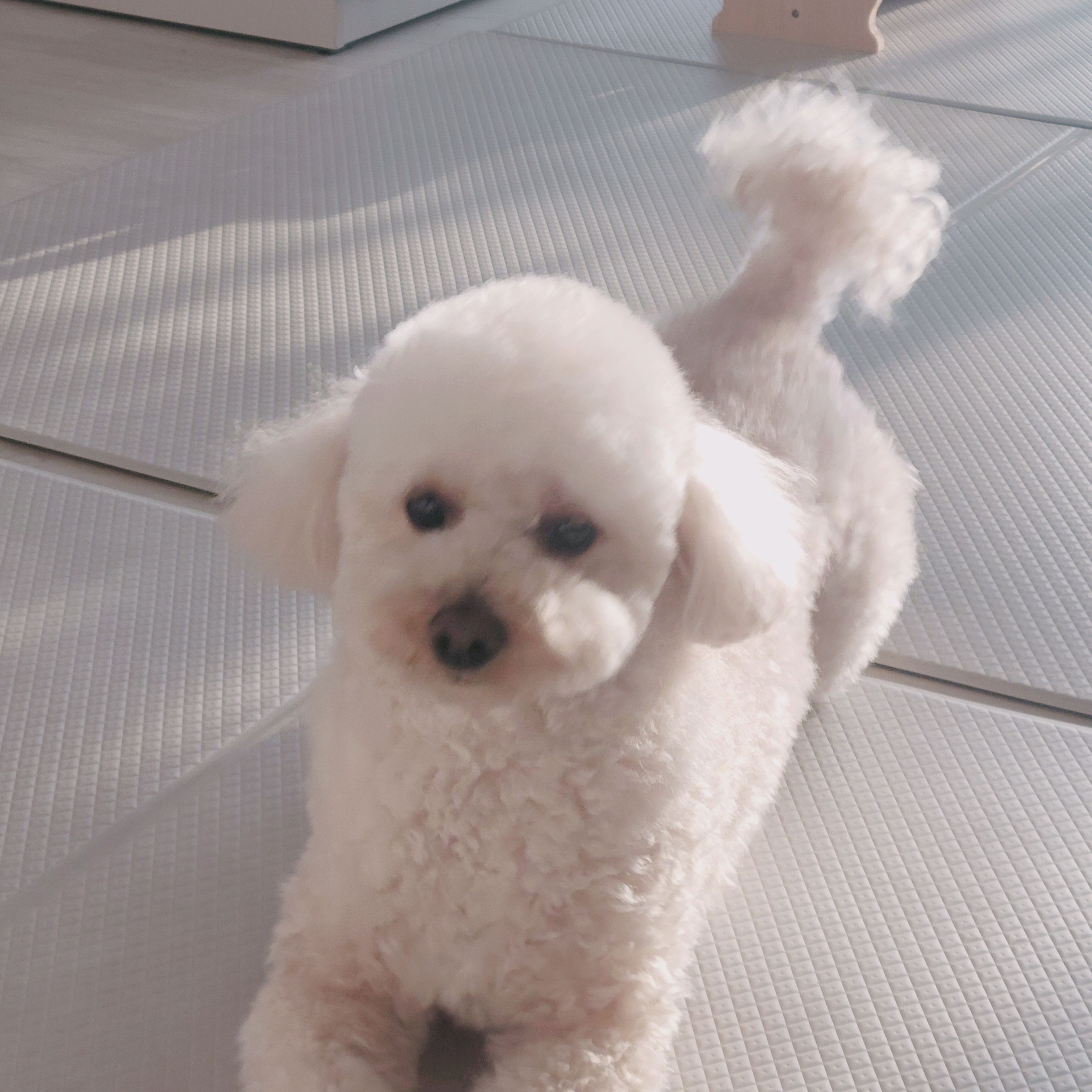 리뷰 사진 1