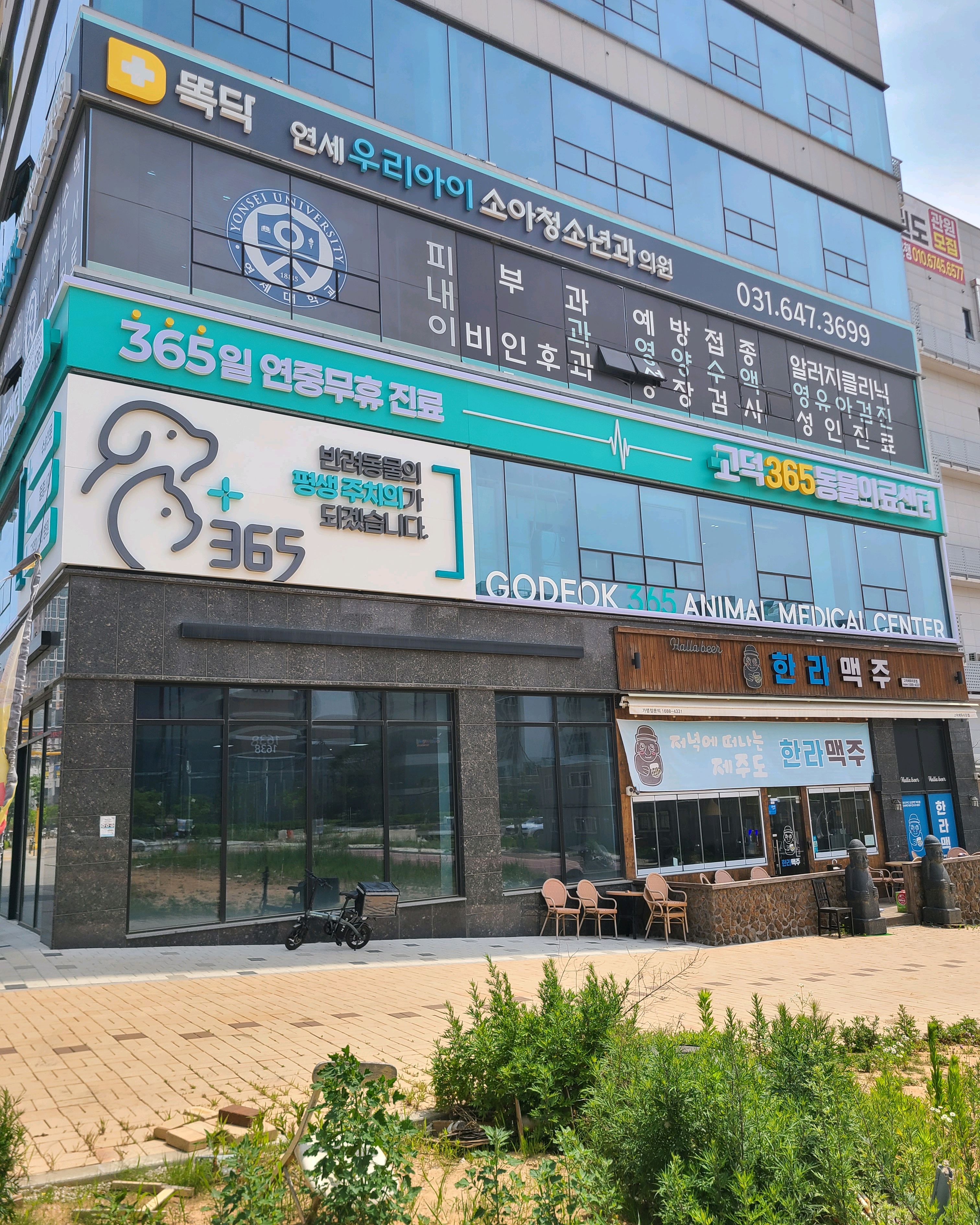 고덕 365 동물의료센터 사진 3
