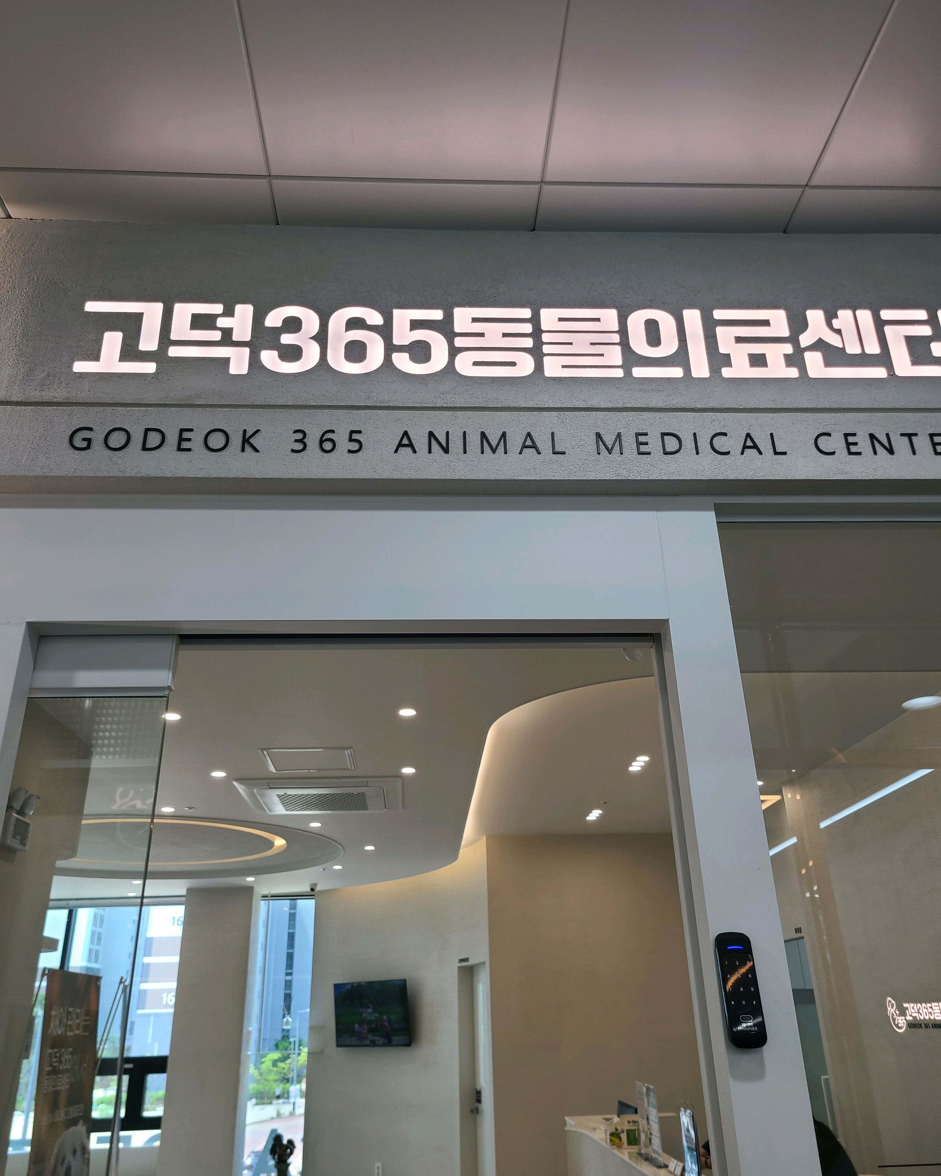 고덕 365 동물의료센터 사진 4