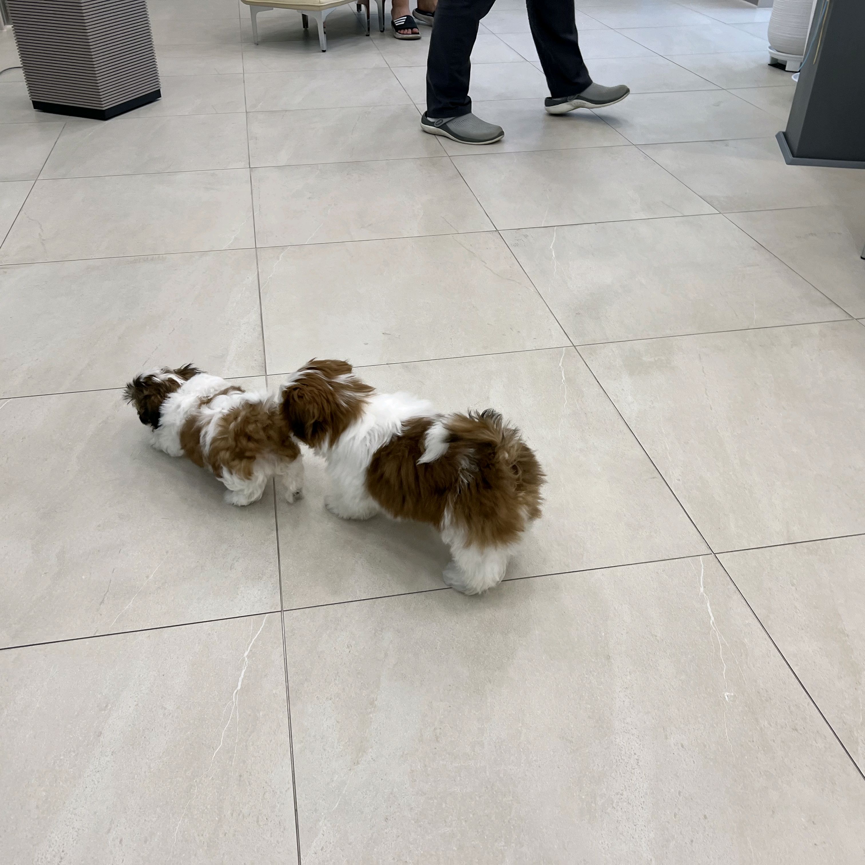 리뷰 사진 1
