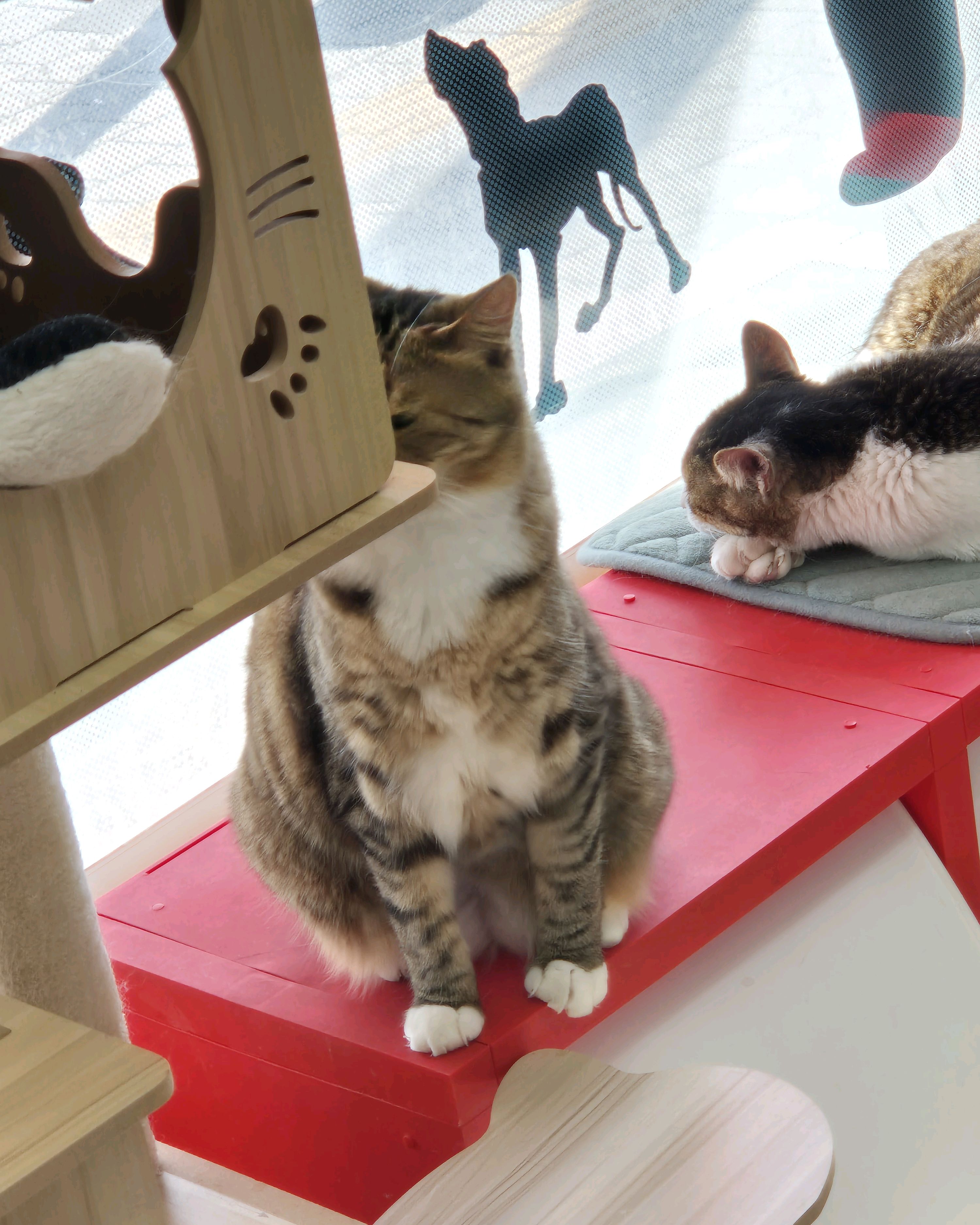 리뷰 사진 3