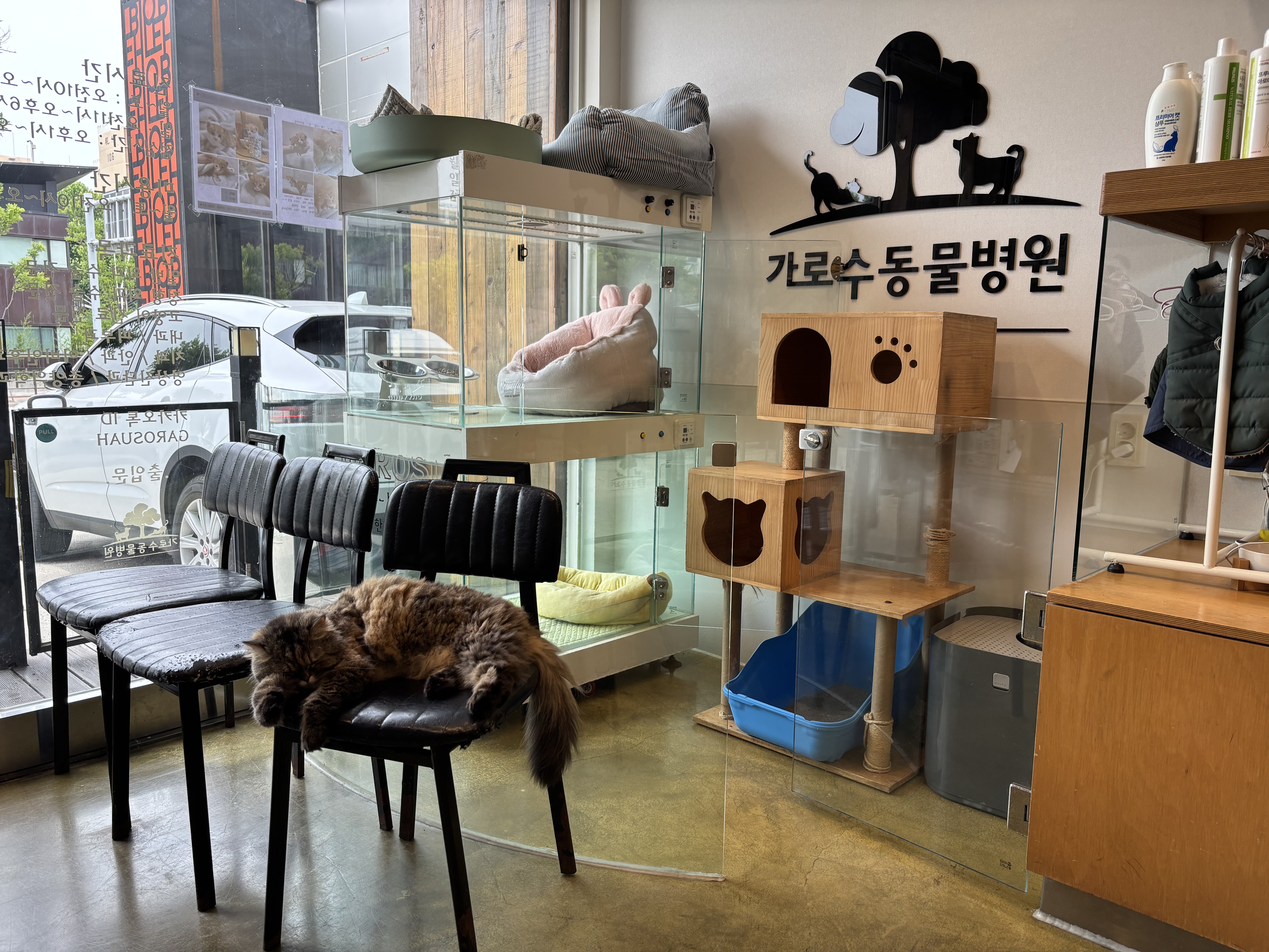 리뷰 사진 1