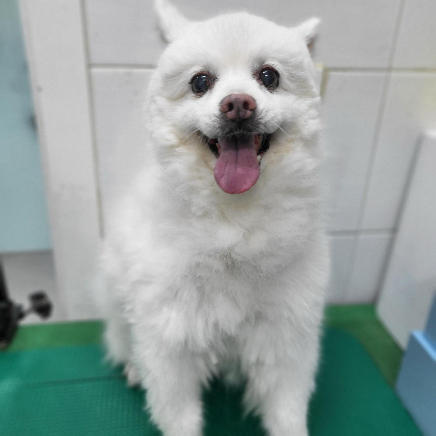 리뷰 사진 1