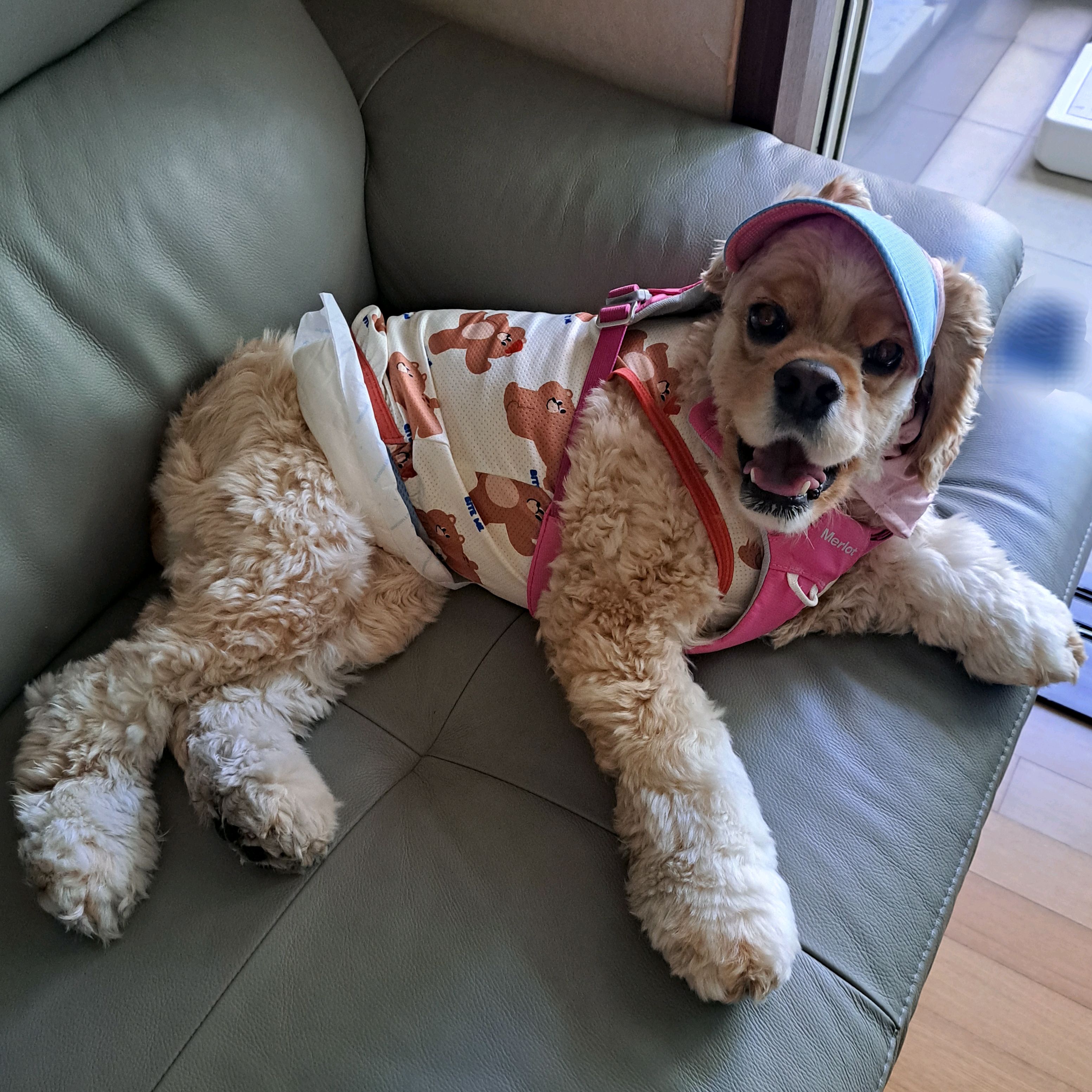 리뷰 사진 1
