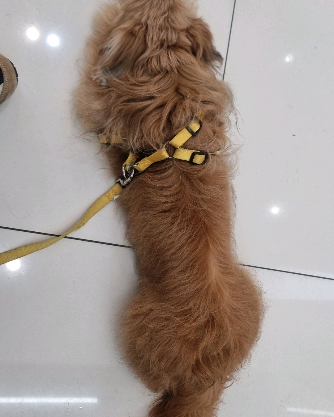 리뷰 사진 2