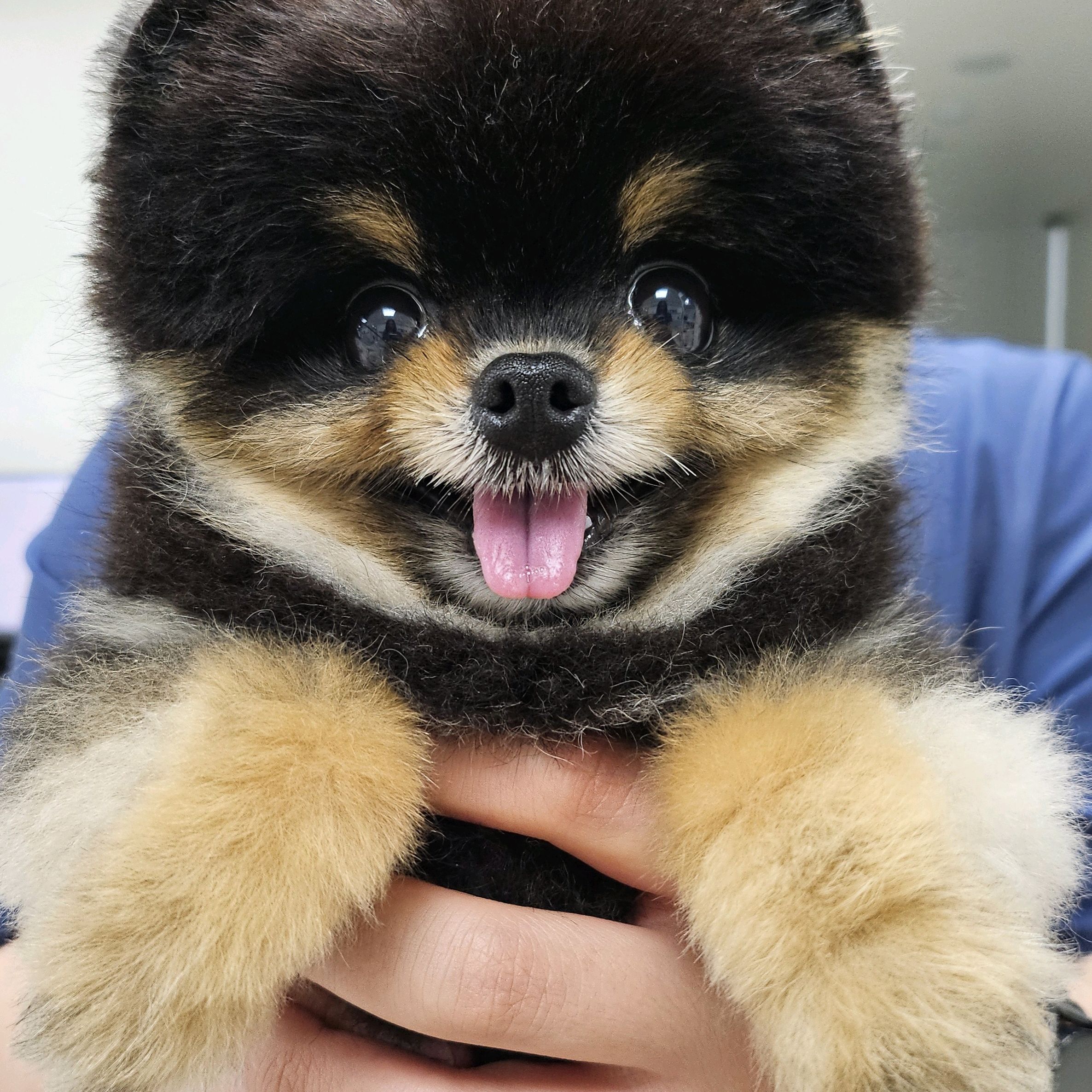 리뷰 사진 1