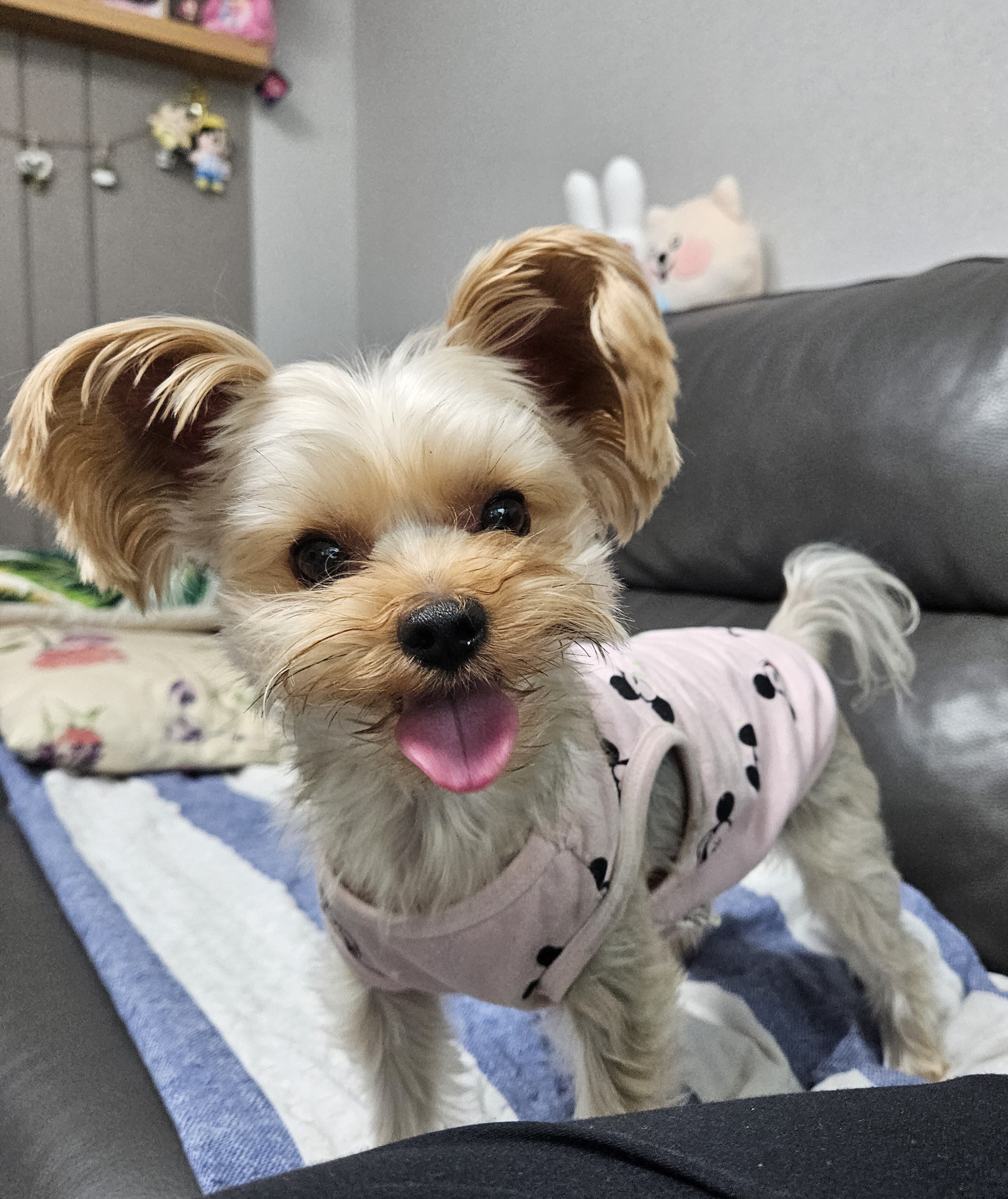 리뷰 사진 2