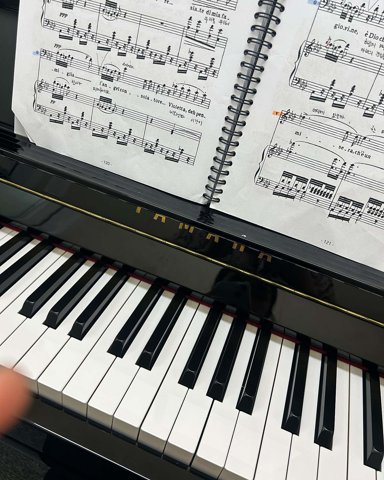 2번째 스튜디오 사진