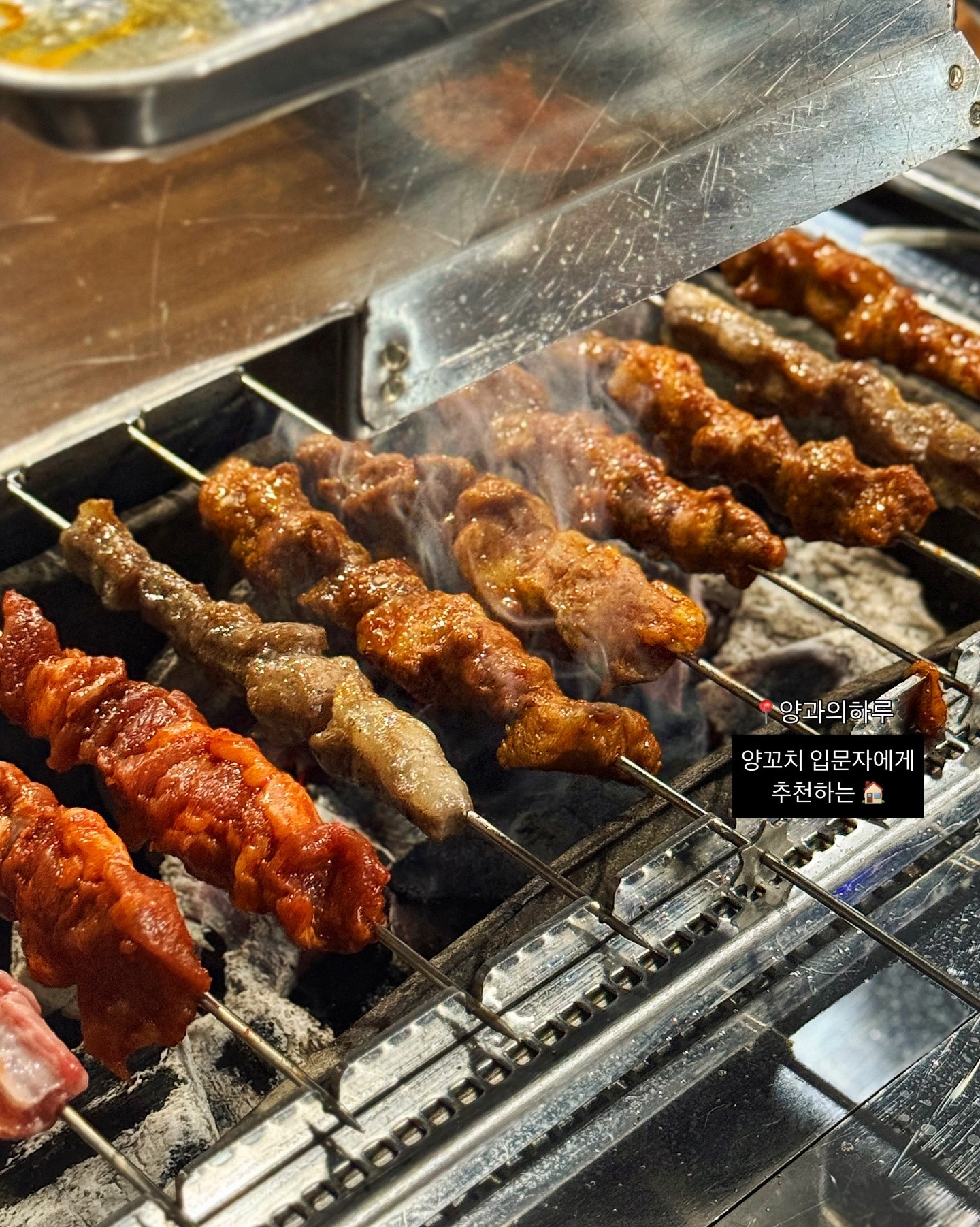 양과의하루 대표 이미지