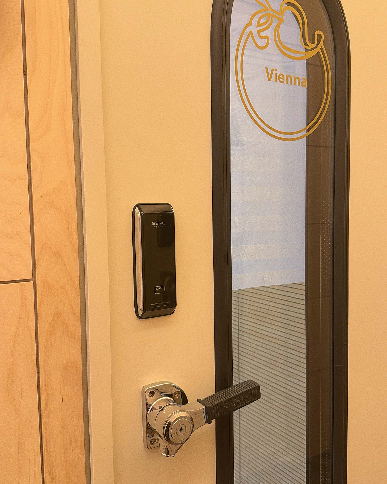 2번째 스튜디오 사진