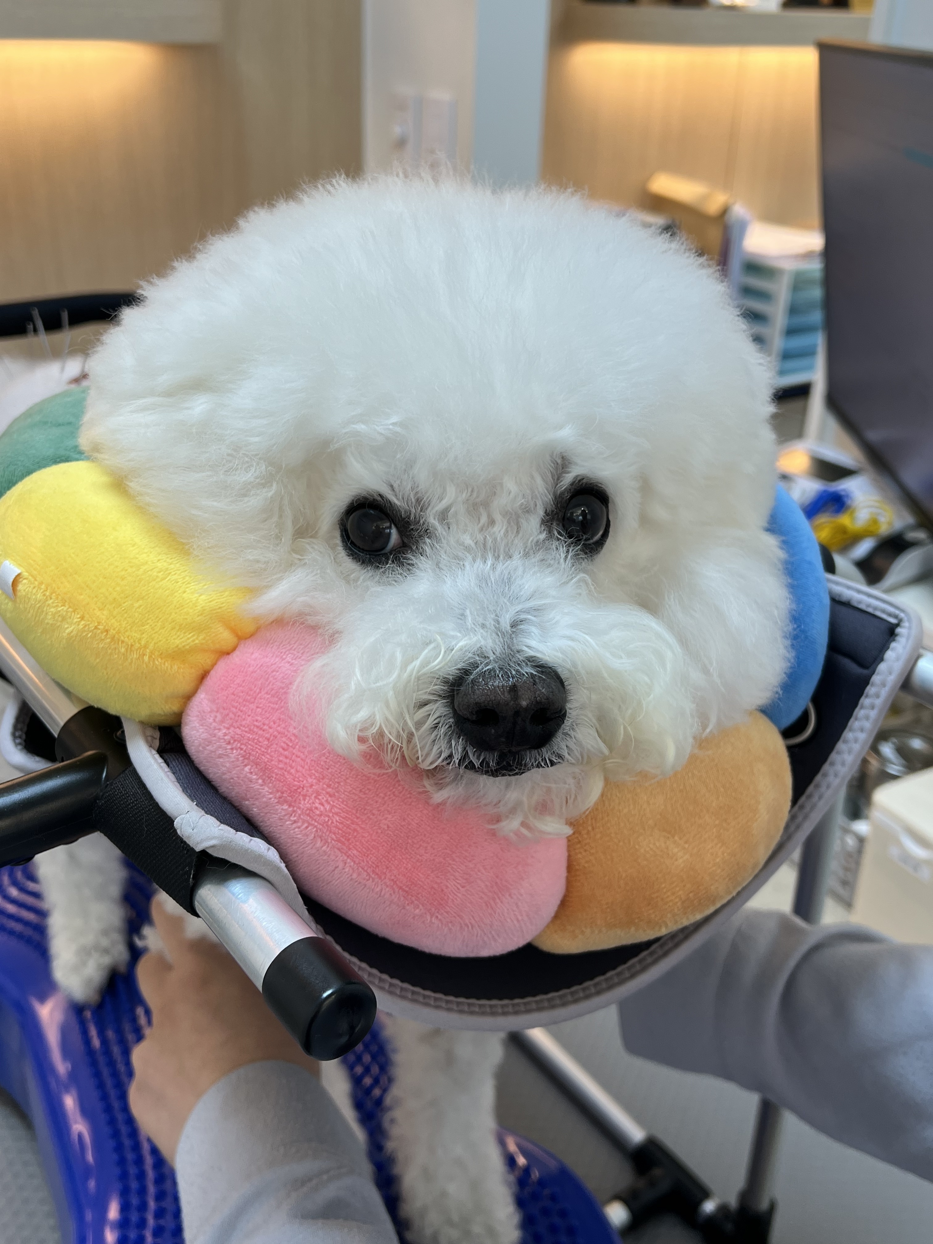 리뷰 사진 3