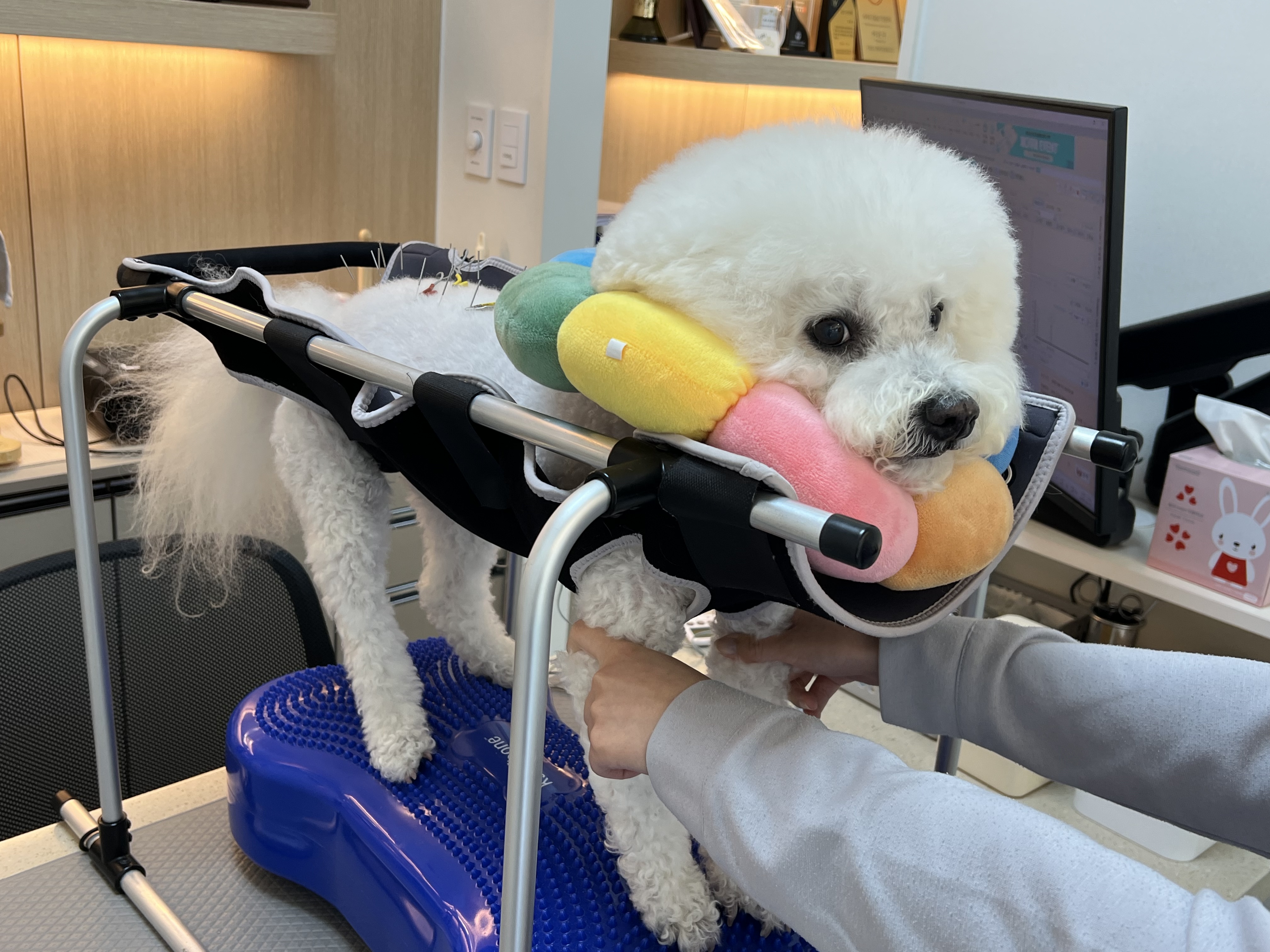 리뷰 사진 1