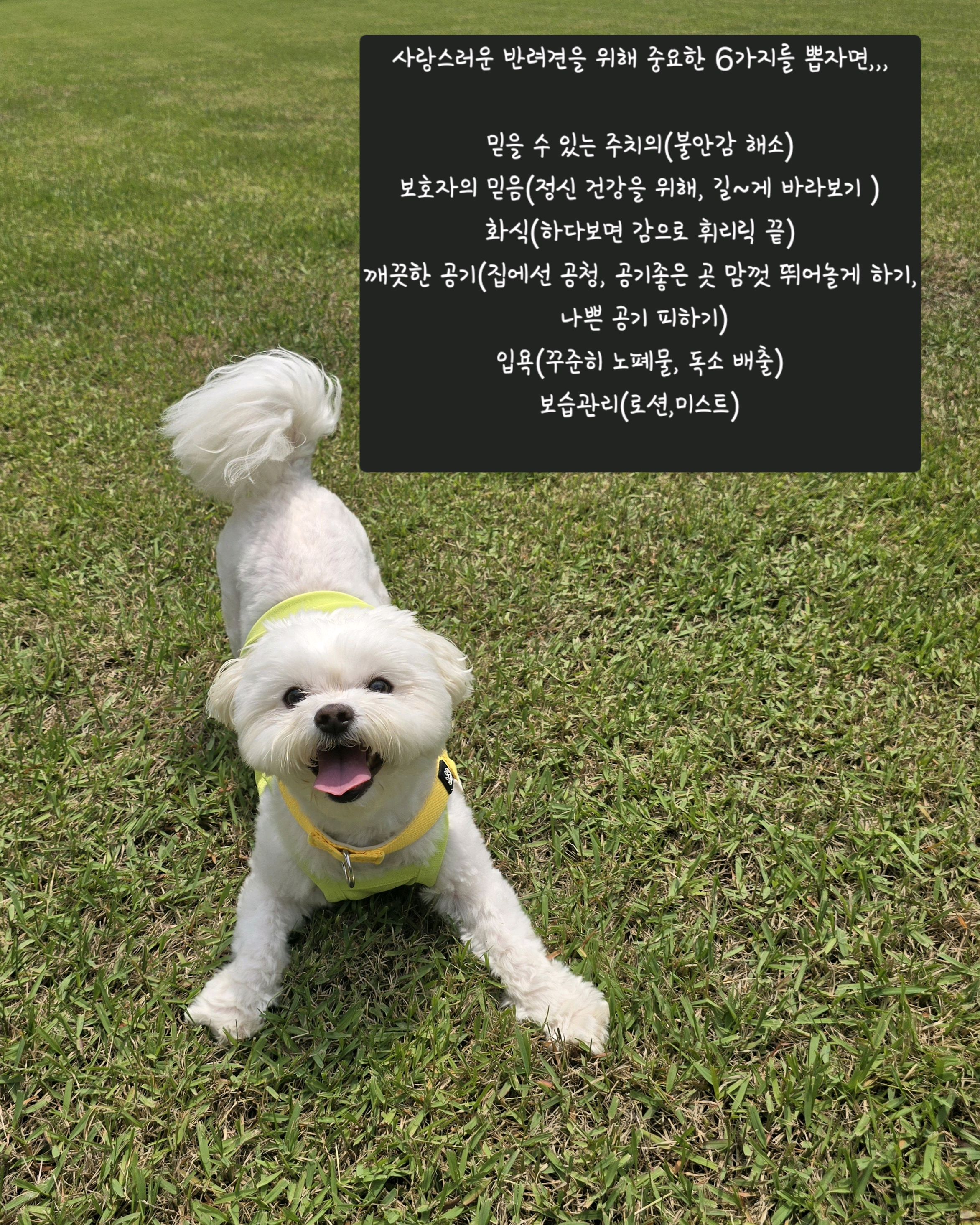리뷰 사진 1