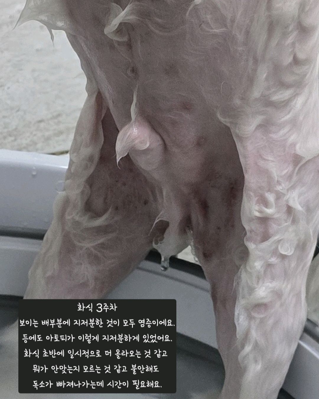 리뷰 사진 2