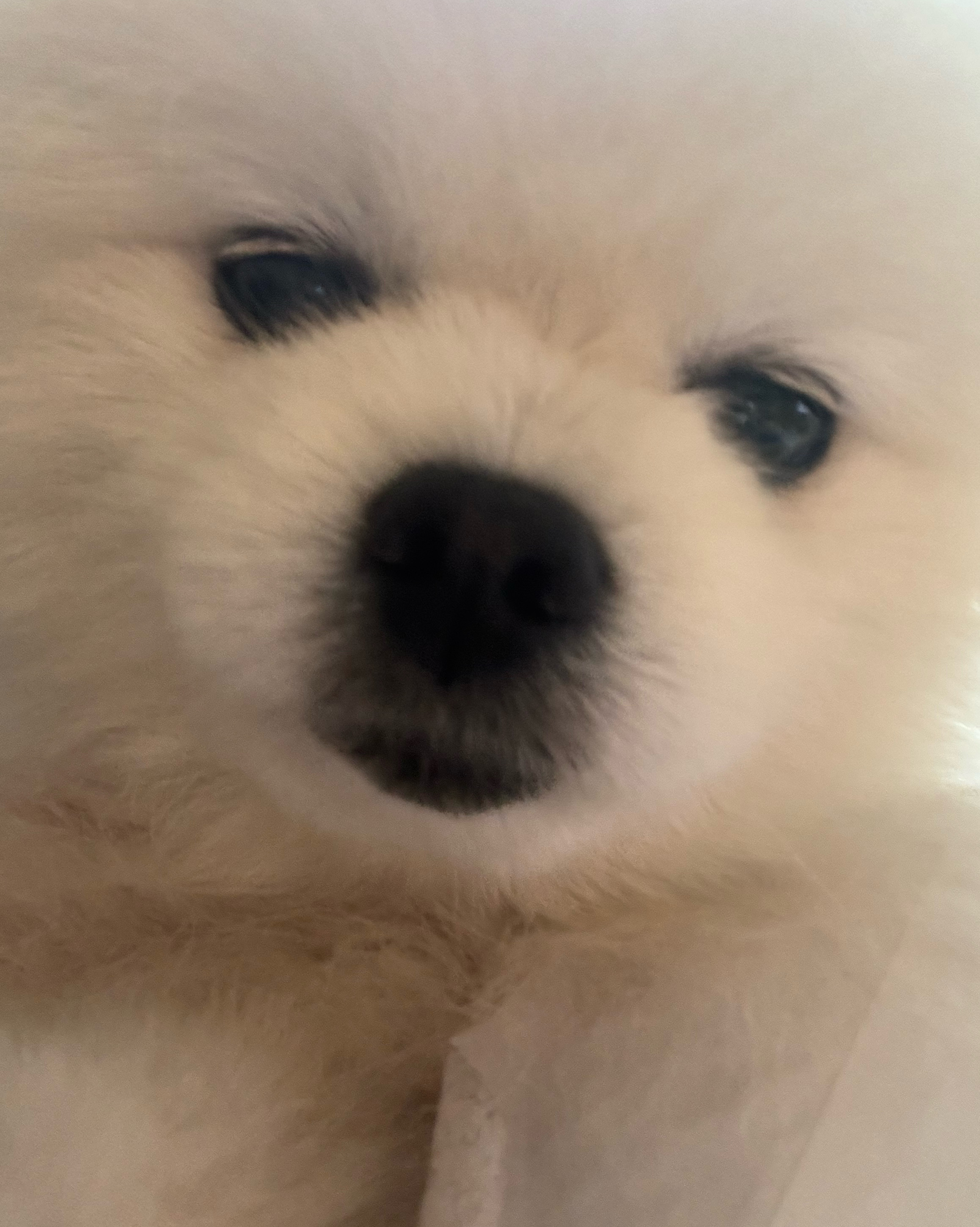 리뷰 사진 1