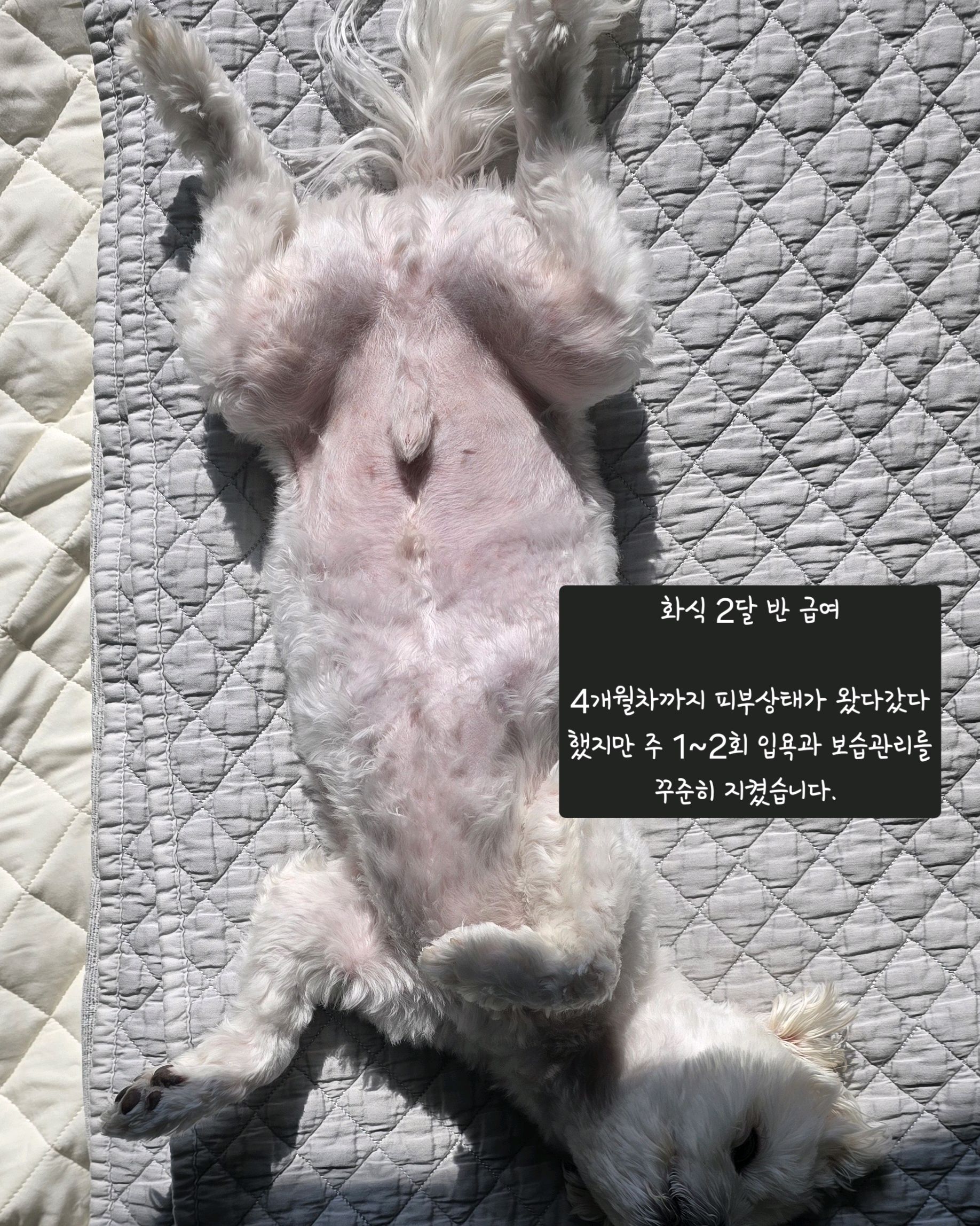 리뷰 사진 3