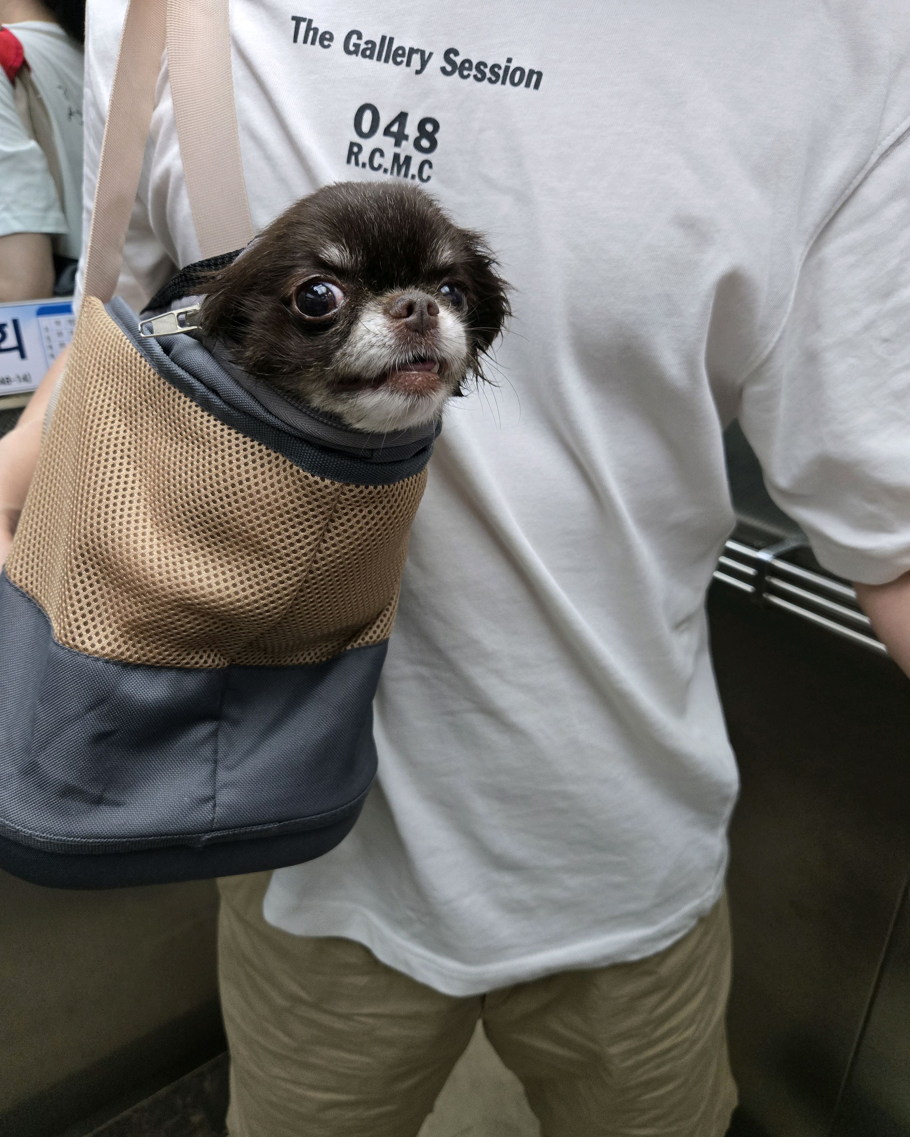 리뷰 사진 1
