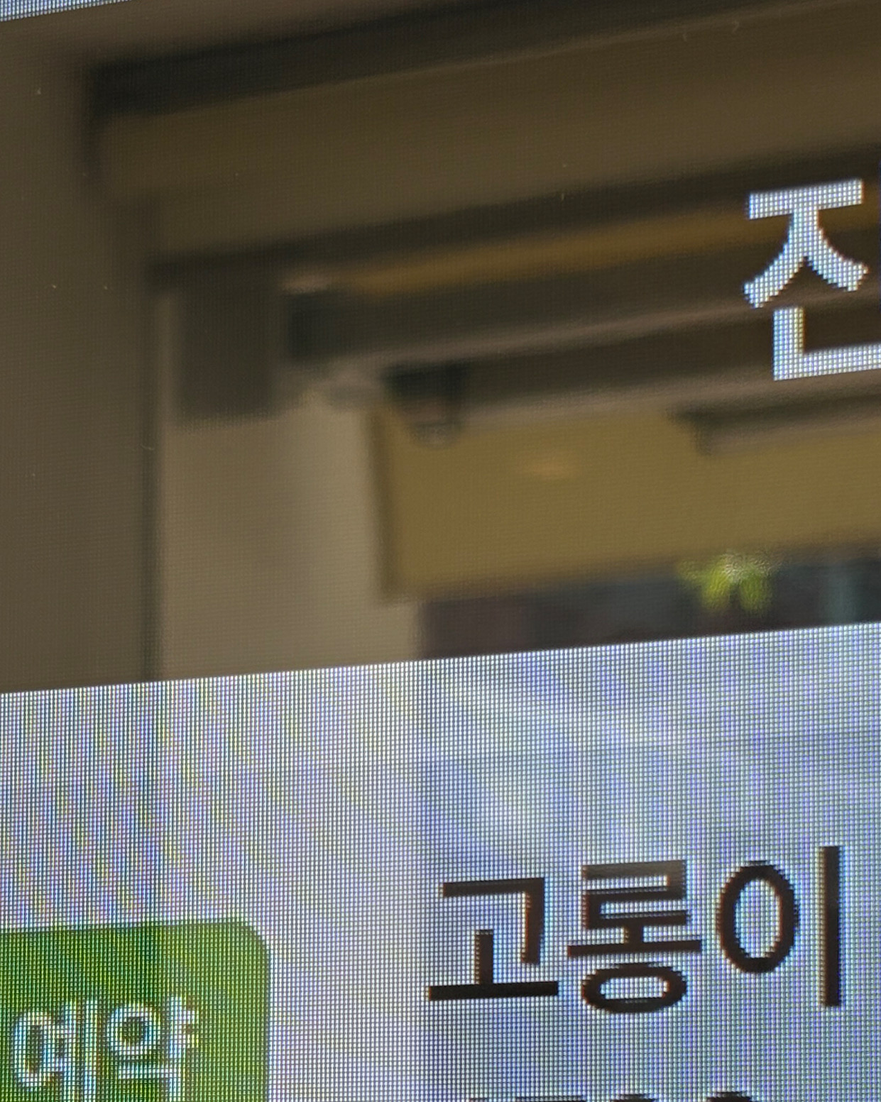 리뷰 사진 1