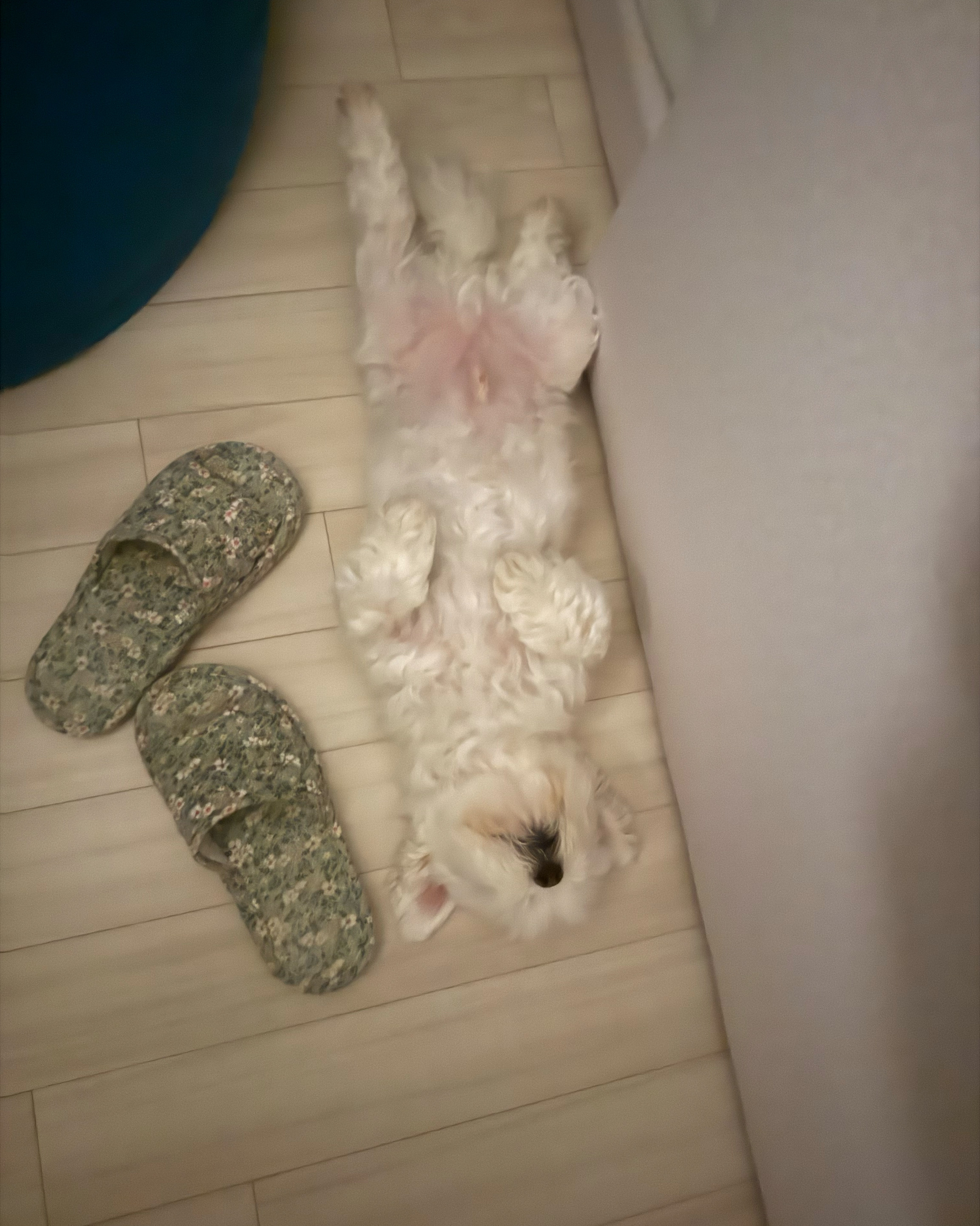 한마음동물병원 사진 2