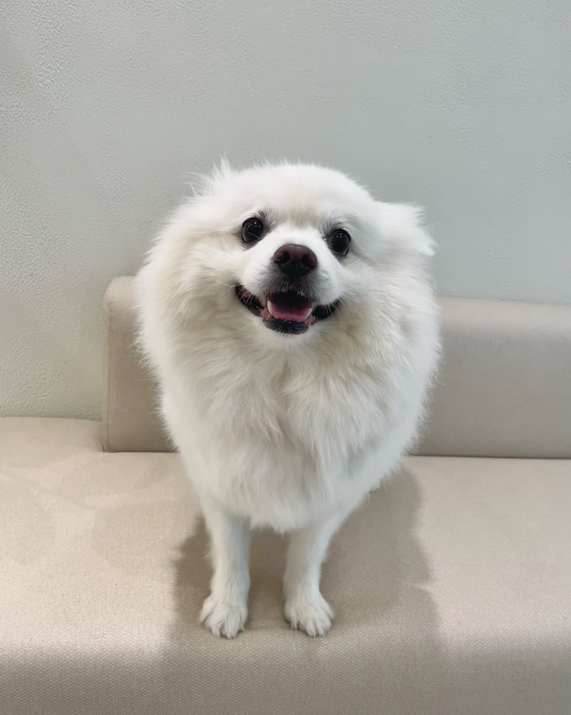 리뷰 사진 3